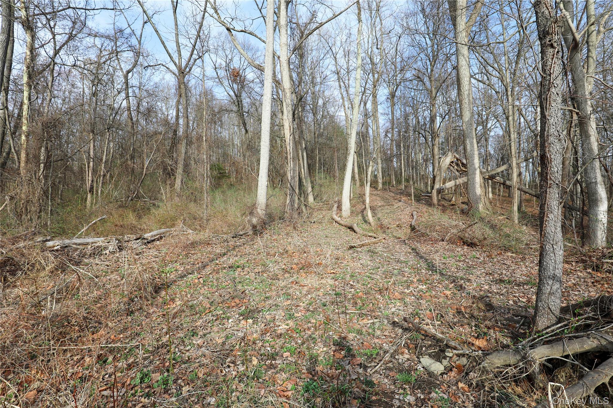 625 Broadway – For Sale photo 3