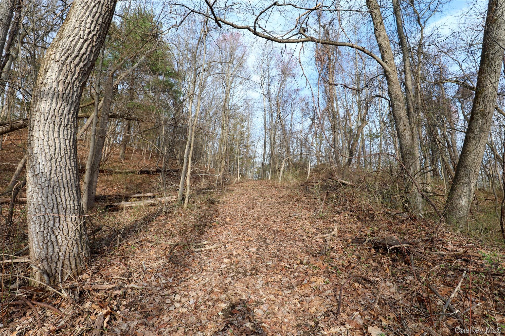 625 Broadway – For Sale photo 9