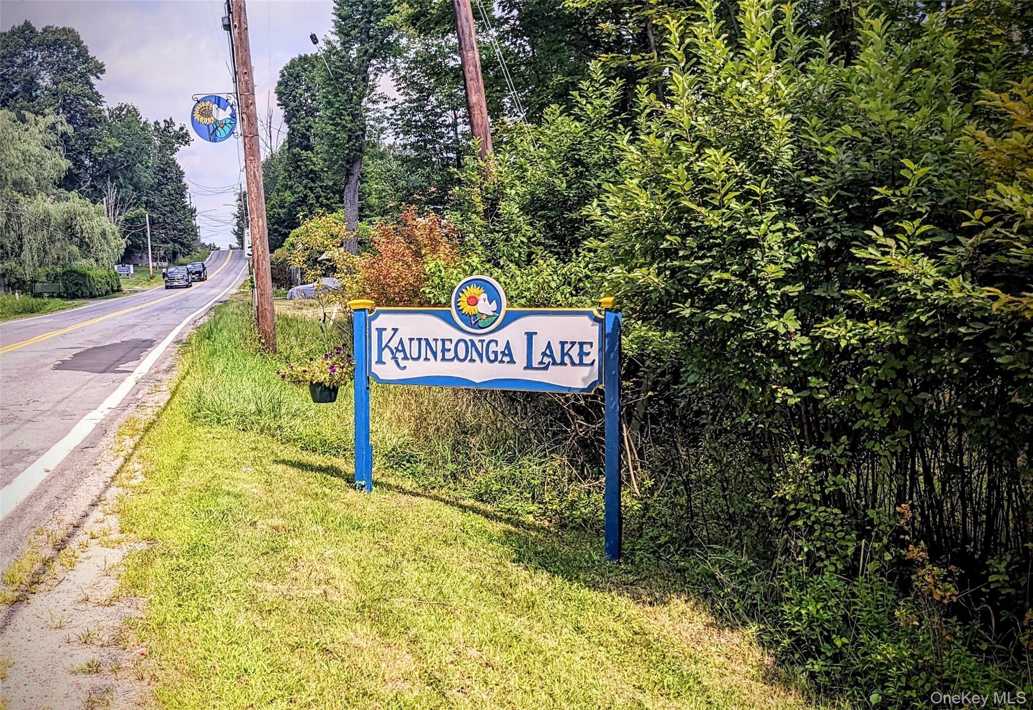 State Route 55 – For Sale photo 9
