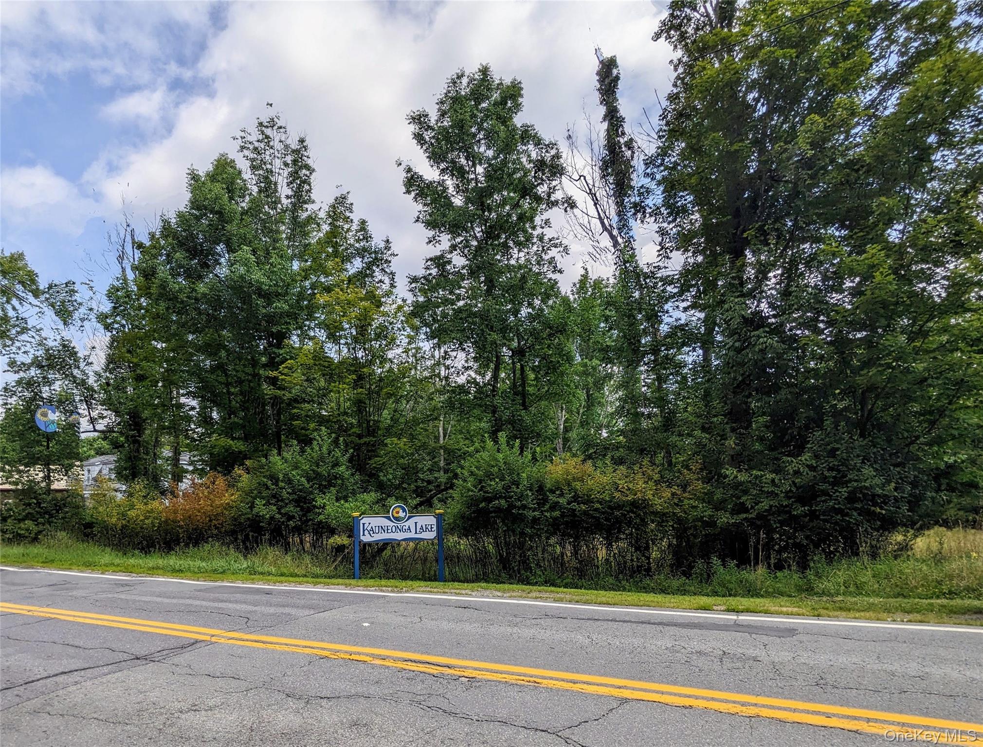 State Route 55 – For Sale photo 6