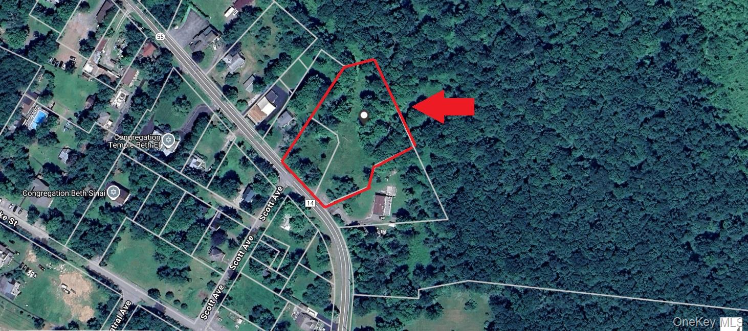 State Route 55 – For Sale photo 14