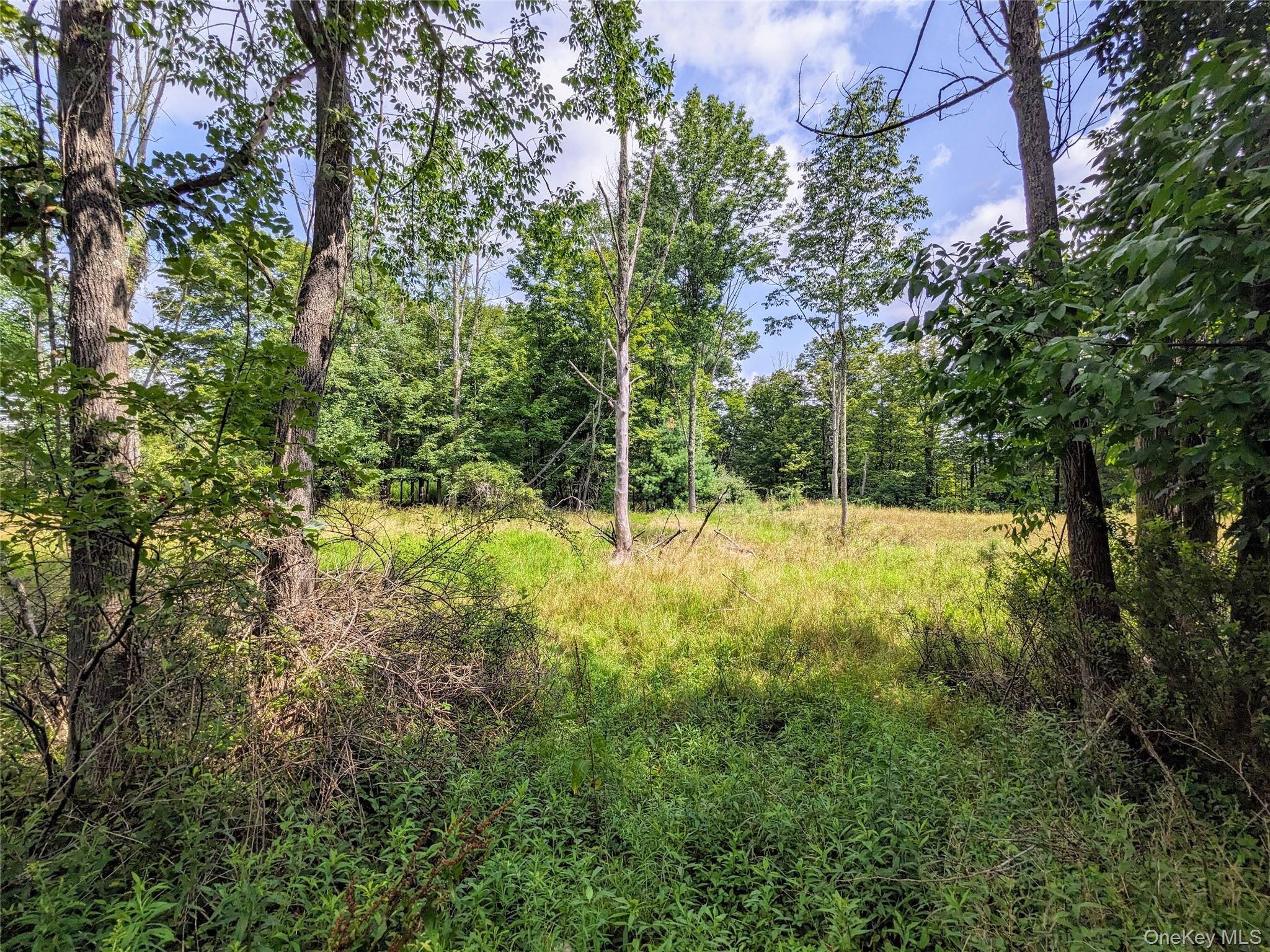 State Route 55 – For Sale photo 4