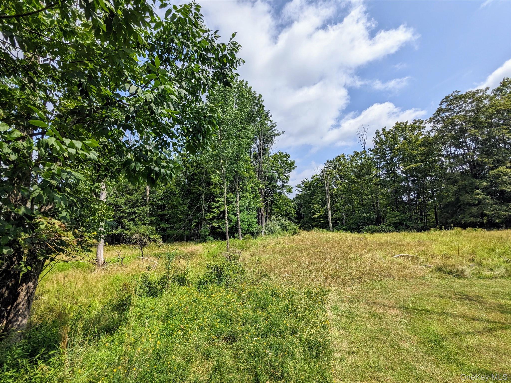 State Route 55 – For Sale photo 7
