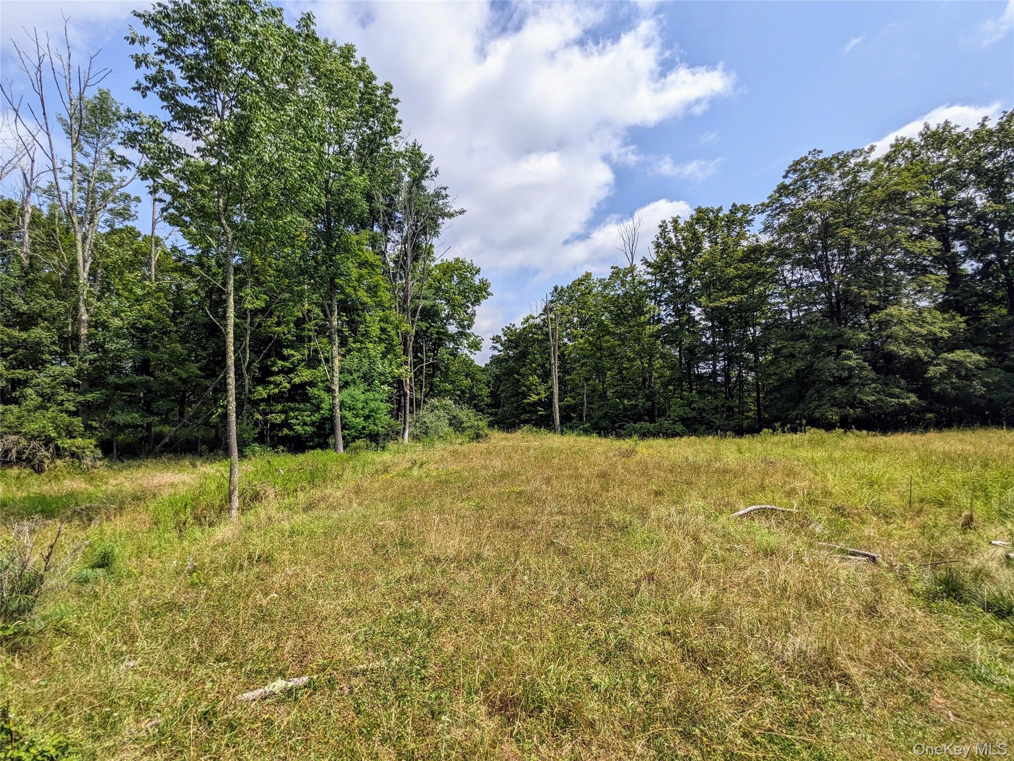 State Route 55 – For Sale photo 8