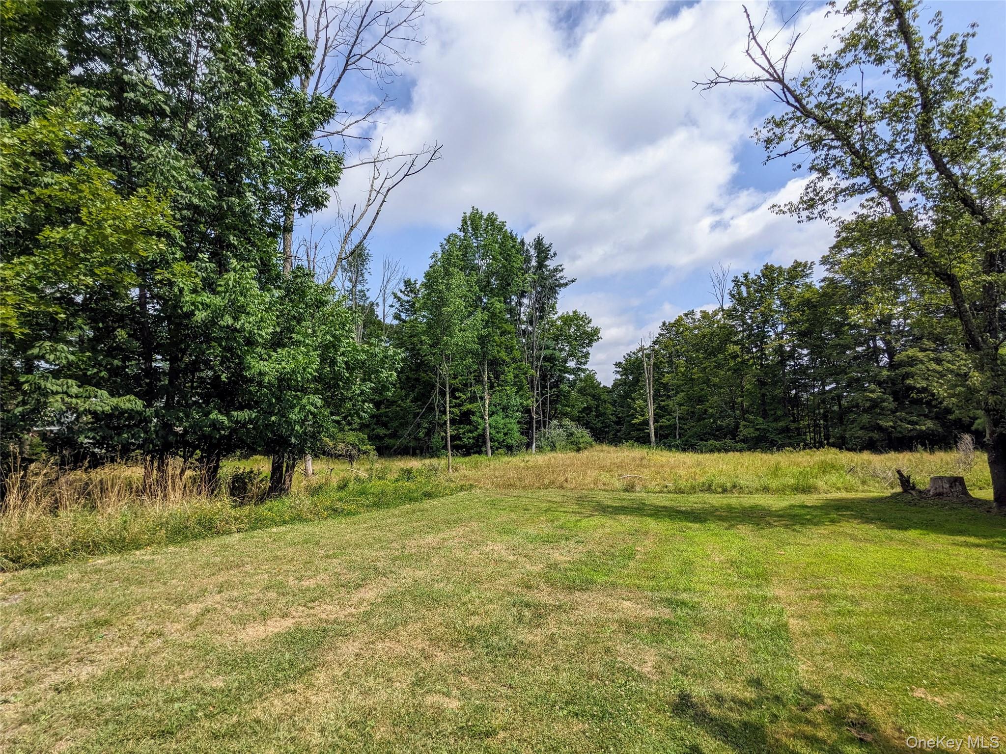 State Route 55 – For Sale photo 5
