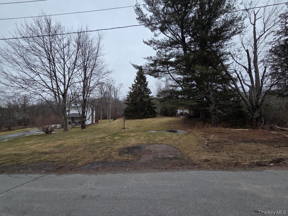 TBD State Route 52 – For Sale