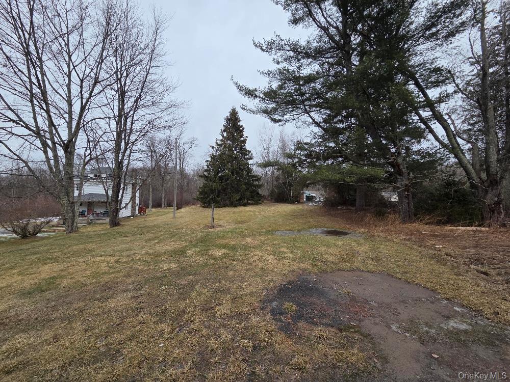 TBD State Route 52 – For Sale photo 2