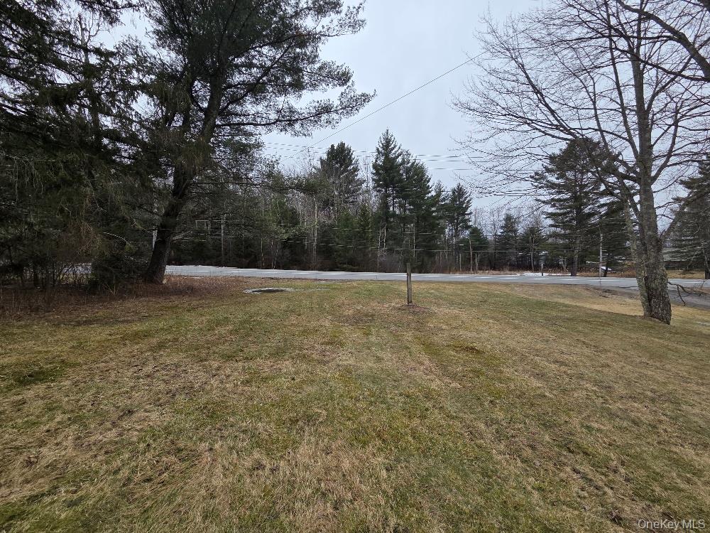 TBD State Route 52 – For Sale photo 5