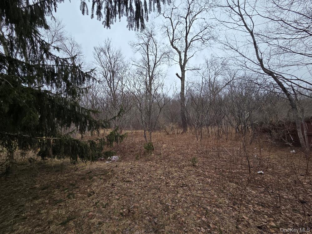 TBD State Route 52 – For Sale photo 4