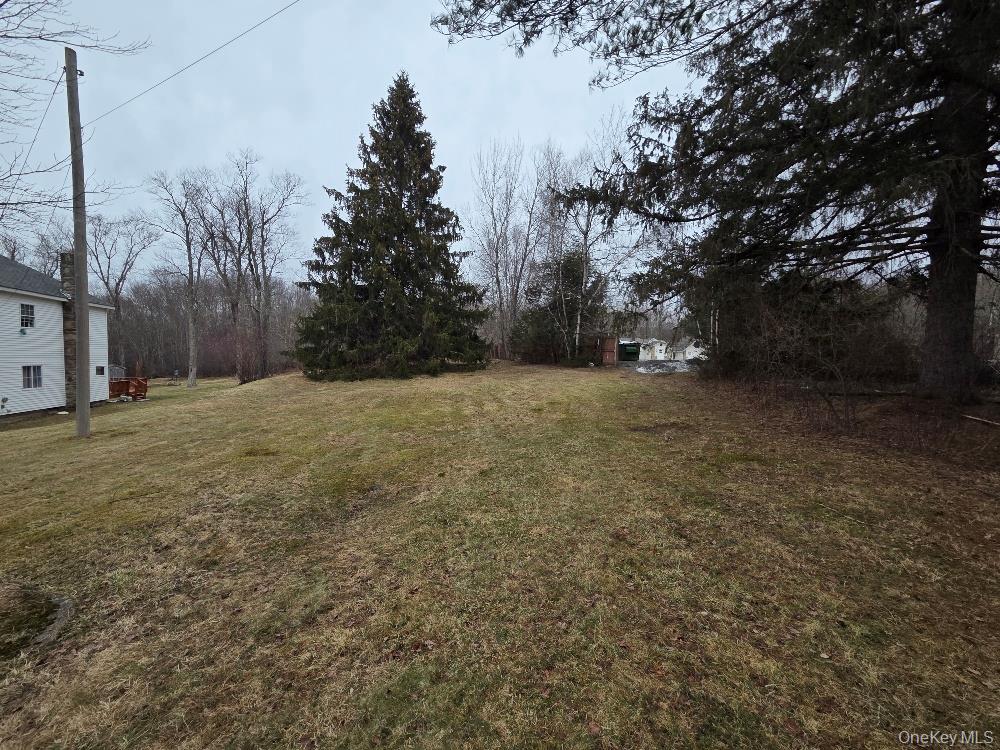 TBD State Route 52 – For Sale photo 3