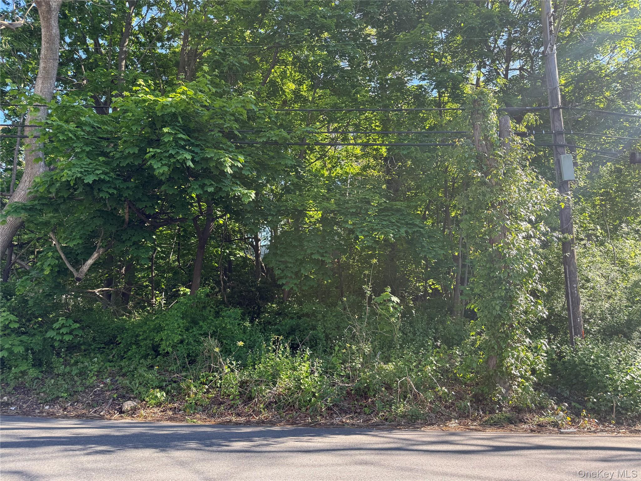 0 Central Islip Boulevard – For Sale photo 2