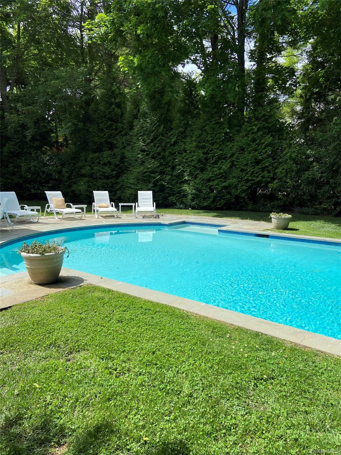 669 Hill Street – For Rent photo 2