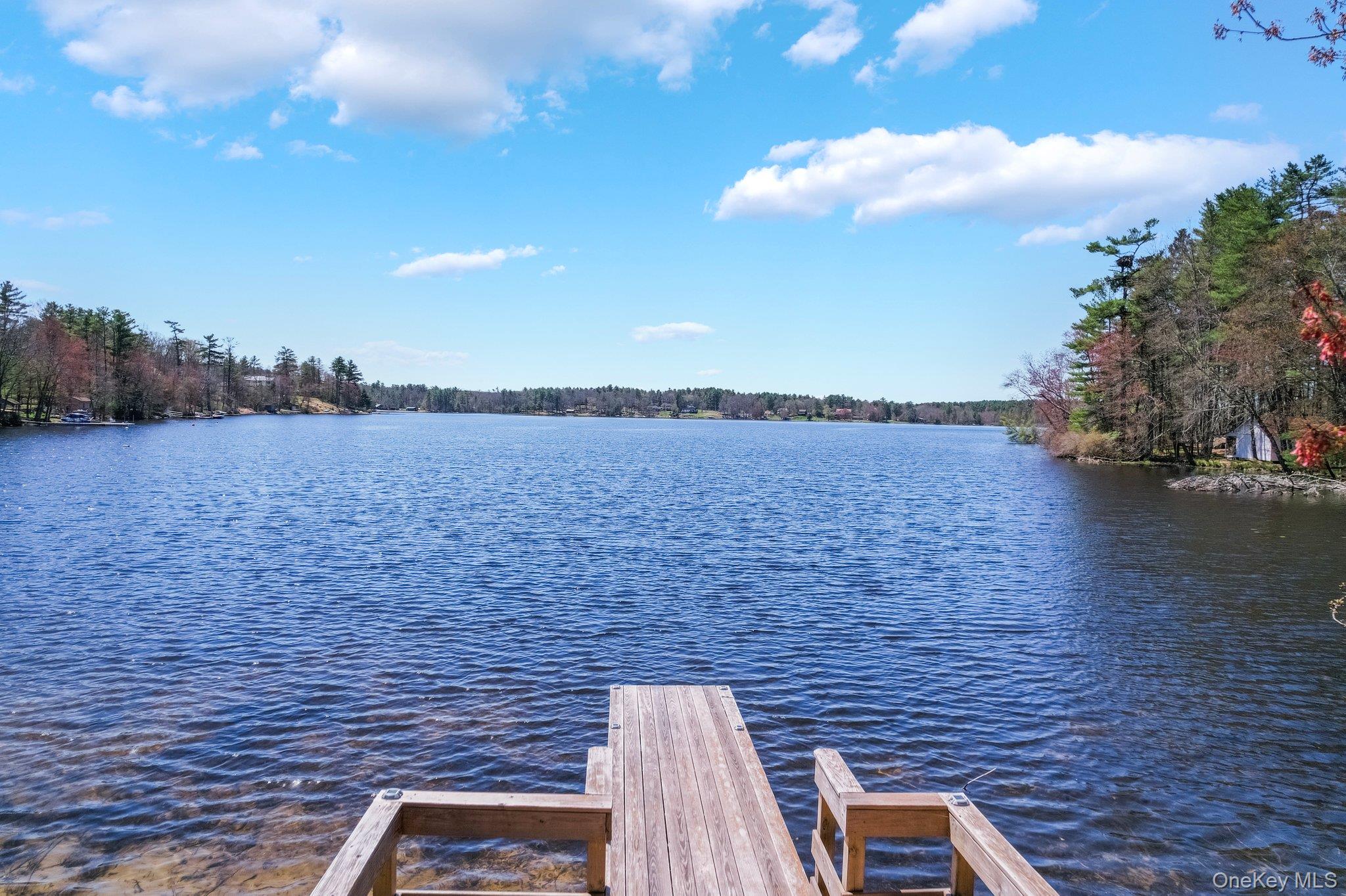 236 Lakeview Drive Road – For Sale photo 27