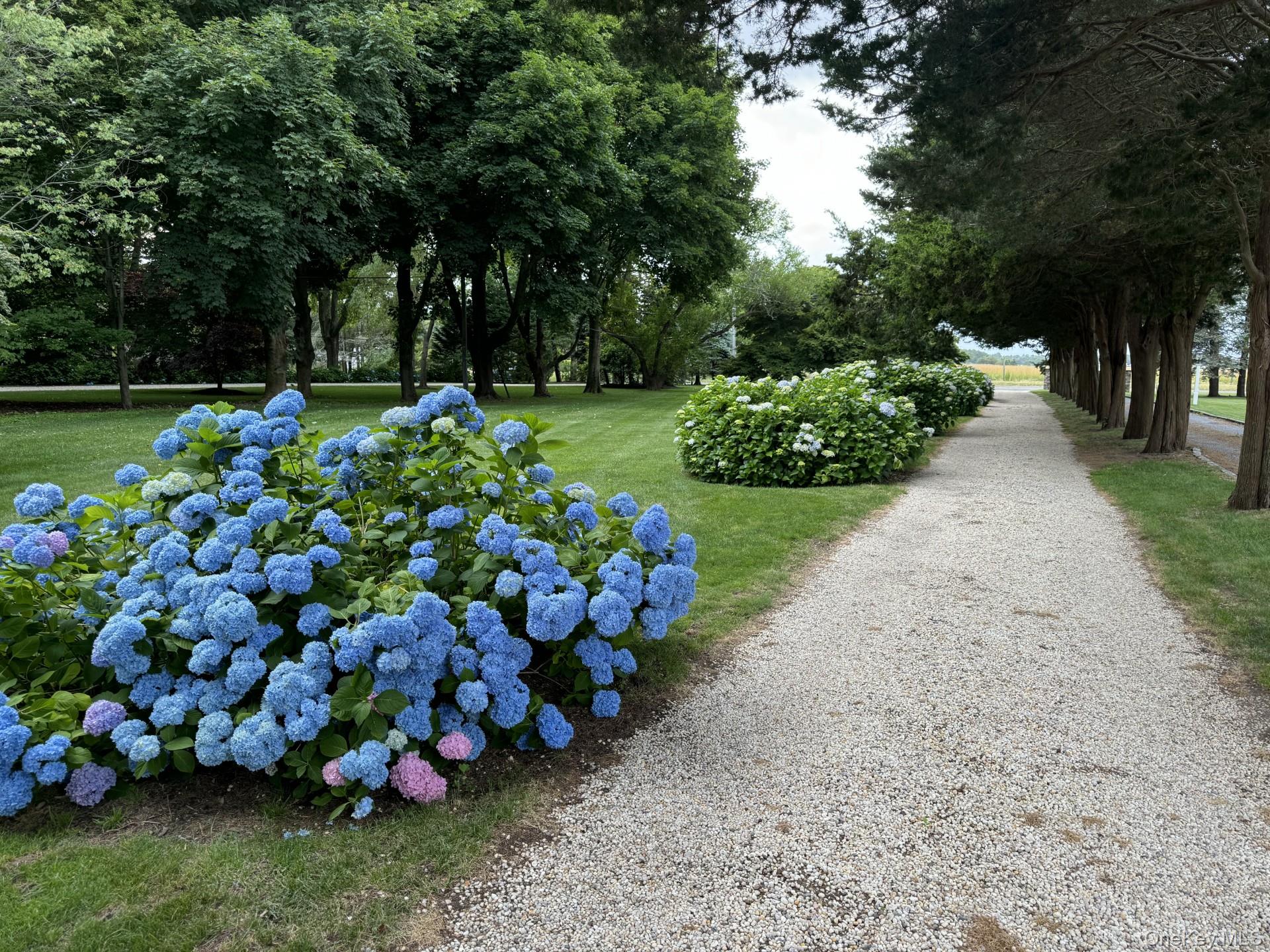 1429 Peconic Bay Boulevard – For Rent photo 33
