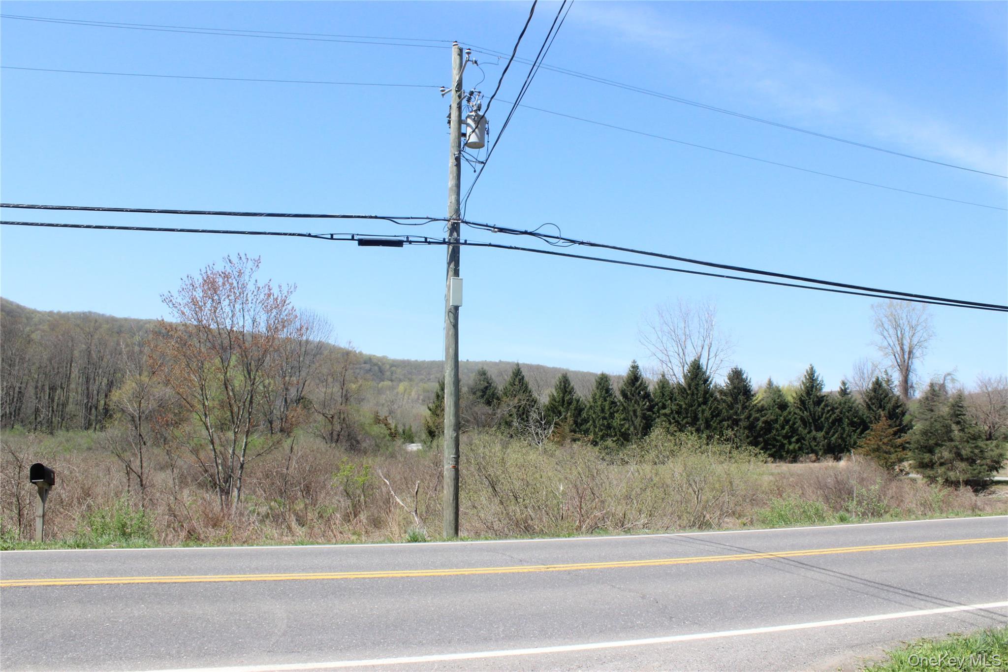 0 Old State Route 22 – For Sale photo 8