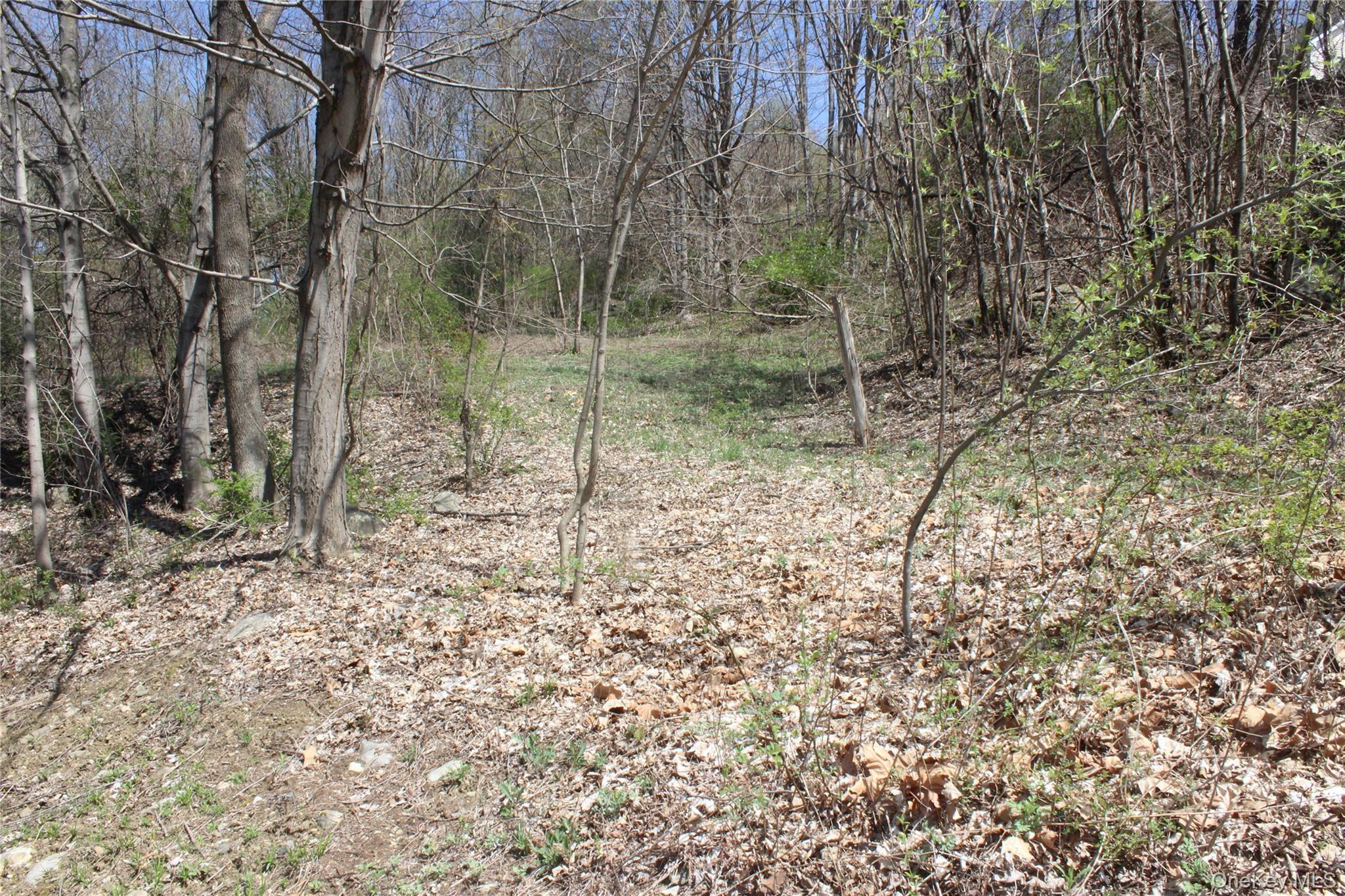 0 Old State Route 22 – For Sale
