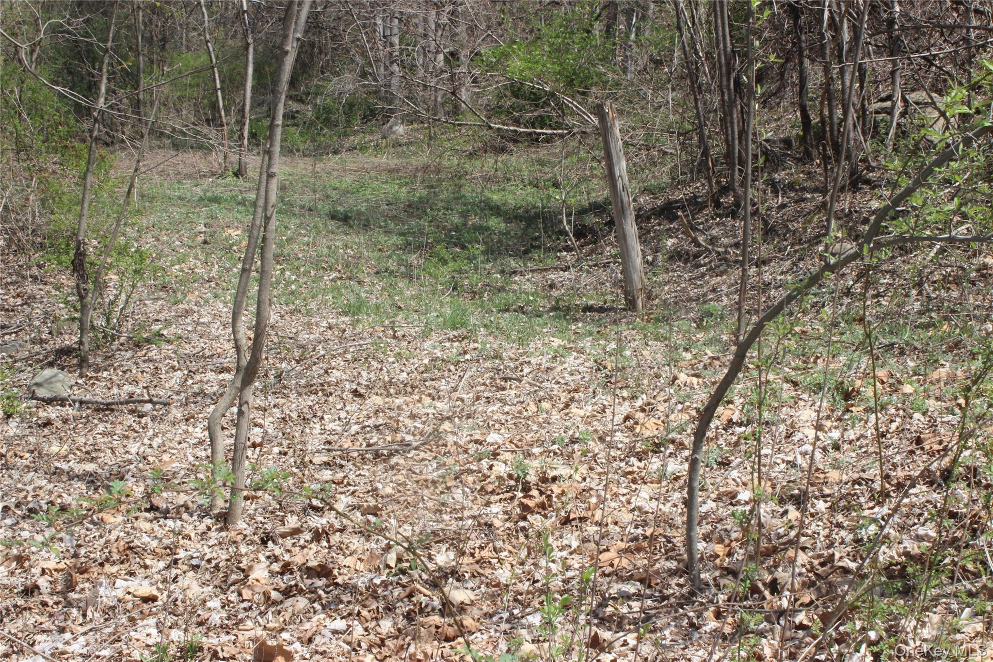 0 Old State Route 22 – For Sale photo 4