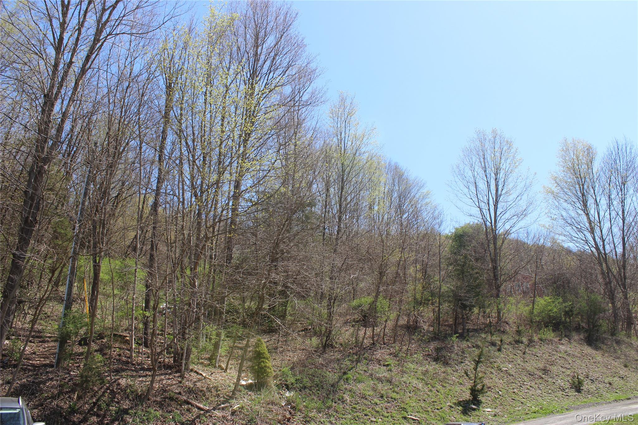 0 Old State Route 22 – For Sale photo 3