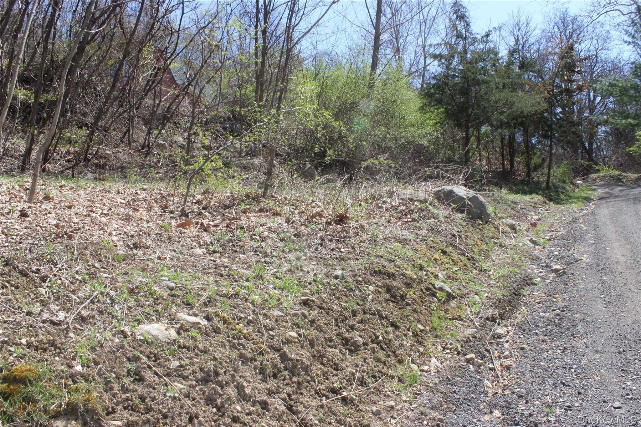 0 Old State Route 22 – For Sale photo 5