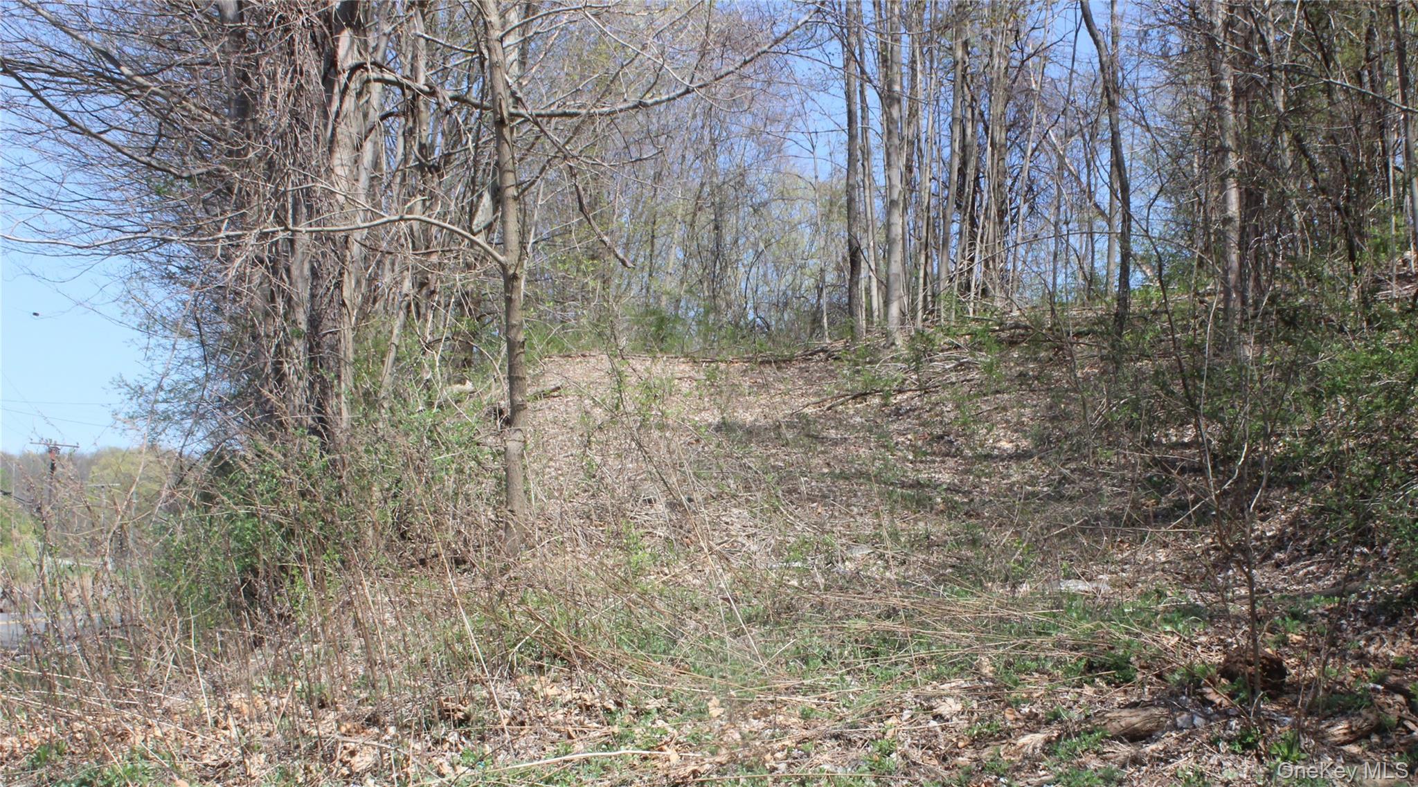 0 Old State Route 22 – For Sale photo 6