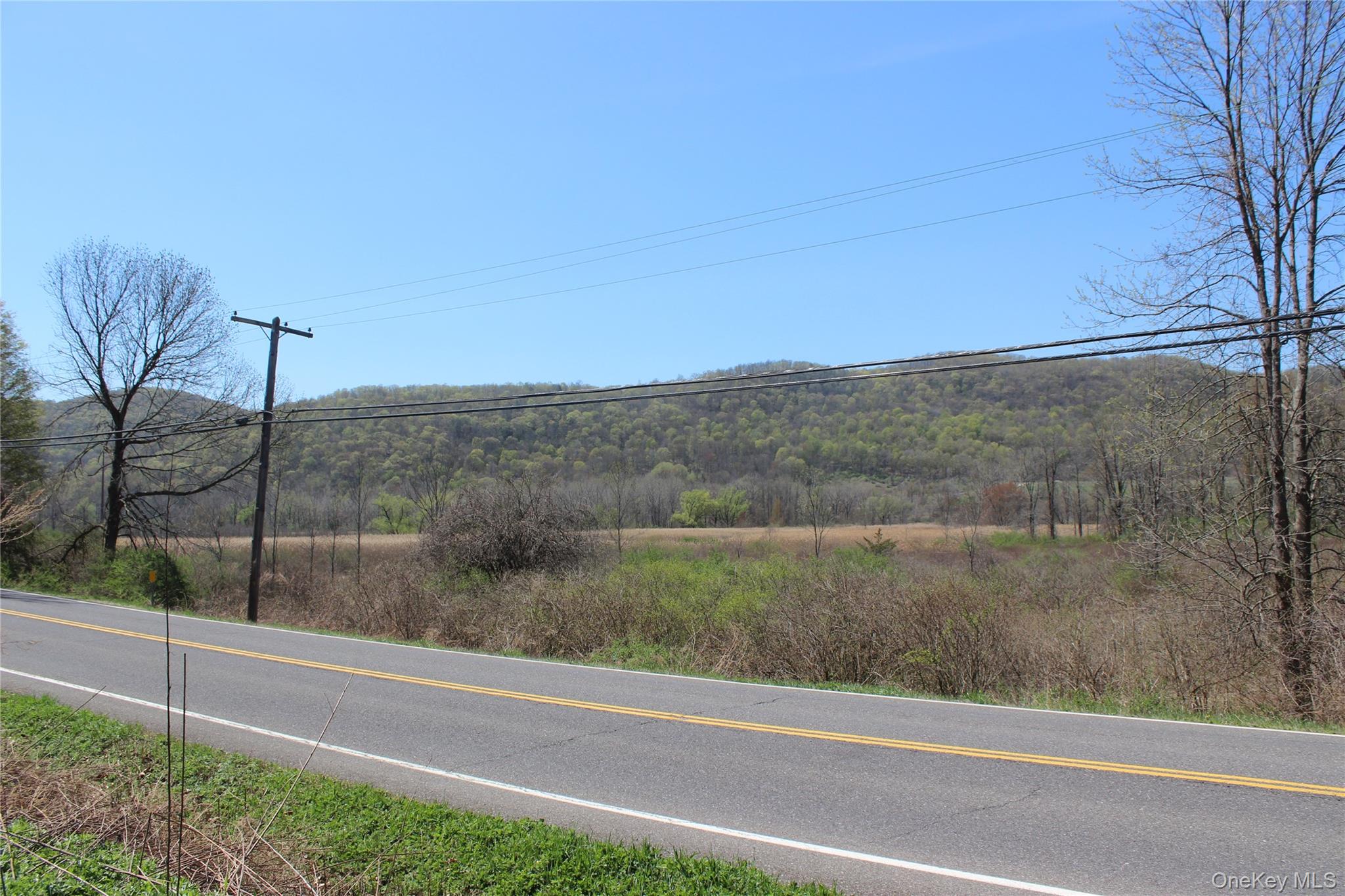 0 Old State Route 22 – For Sale photo 10