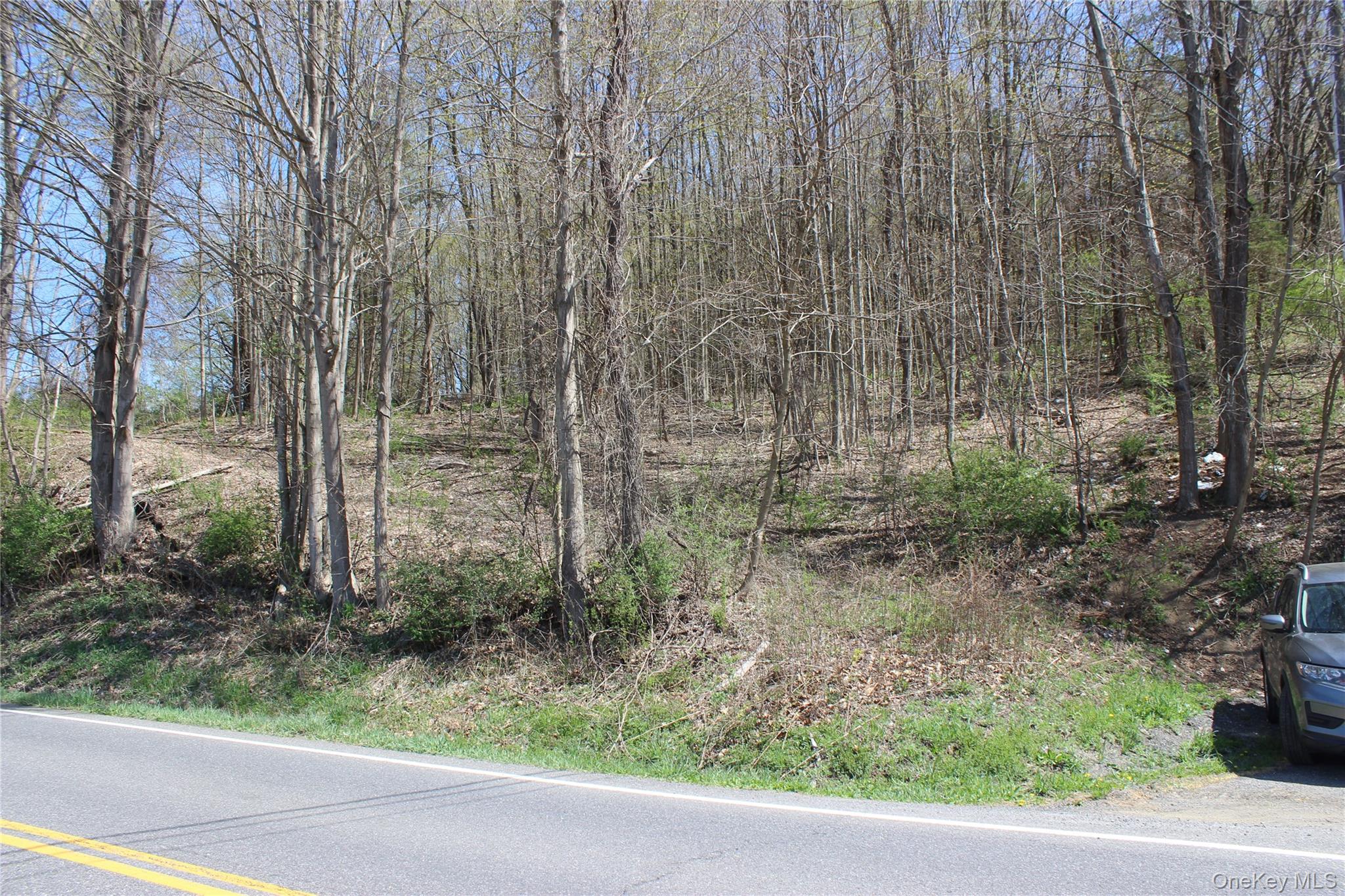 0 Old State Route 22 – For Sale photo 2