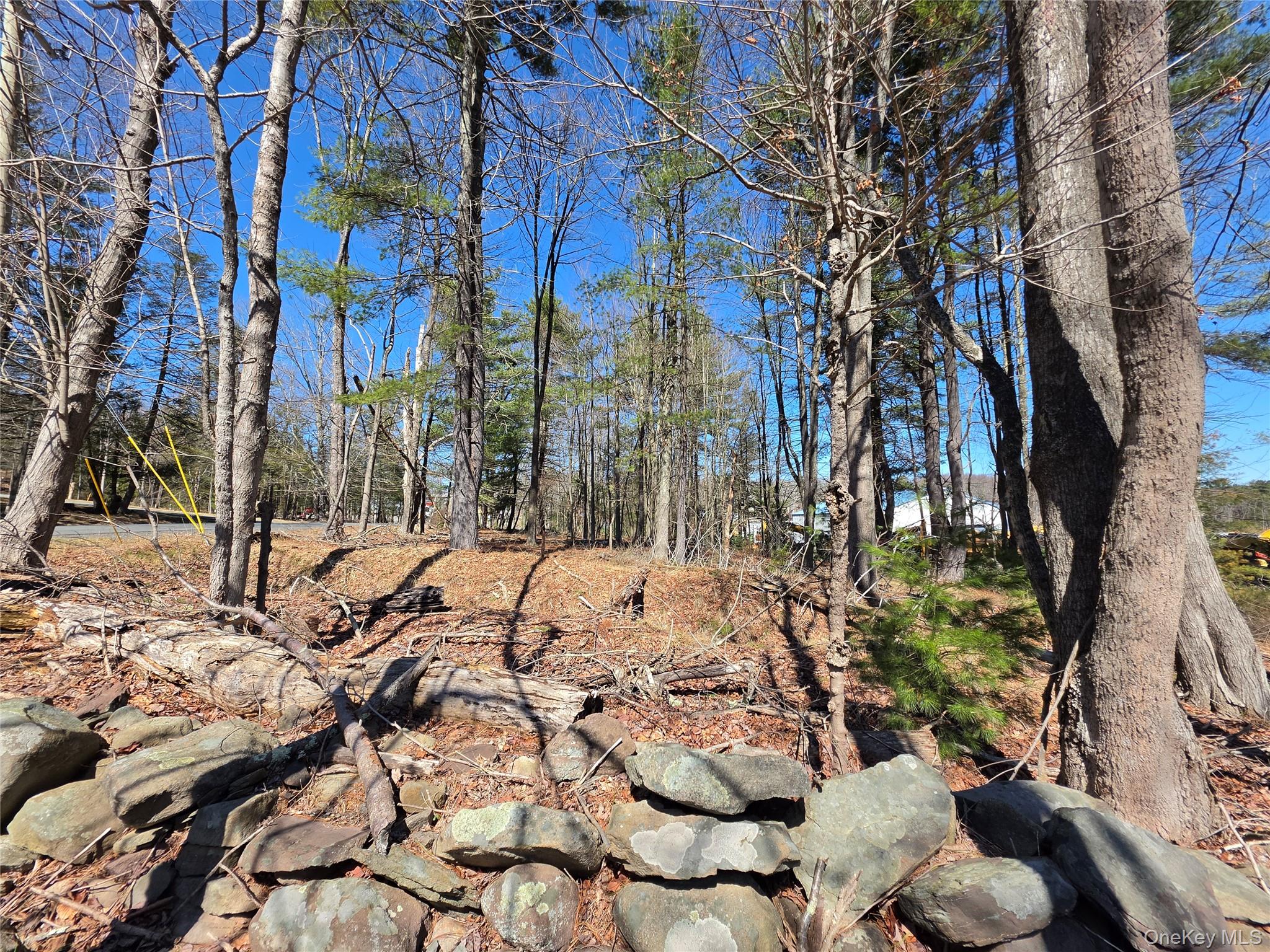 TBD Southwoods Drive – For Sale photo 27