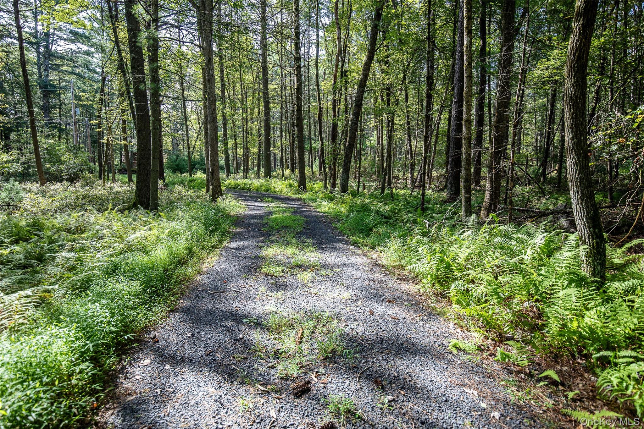 30 Woods Road – For Sale photo 20