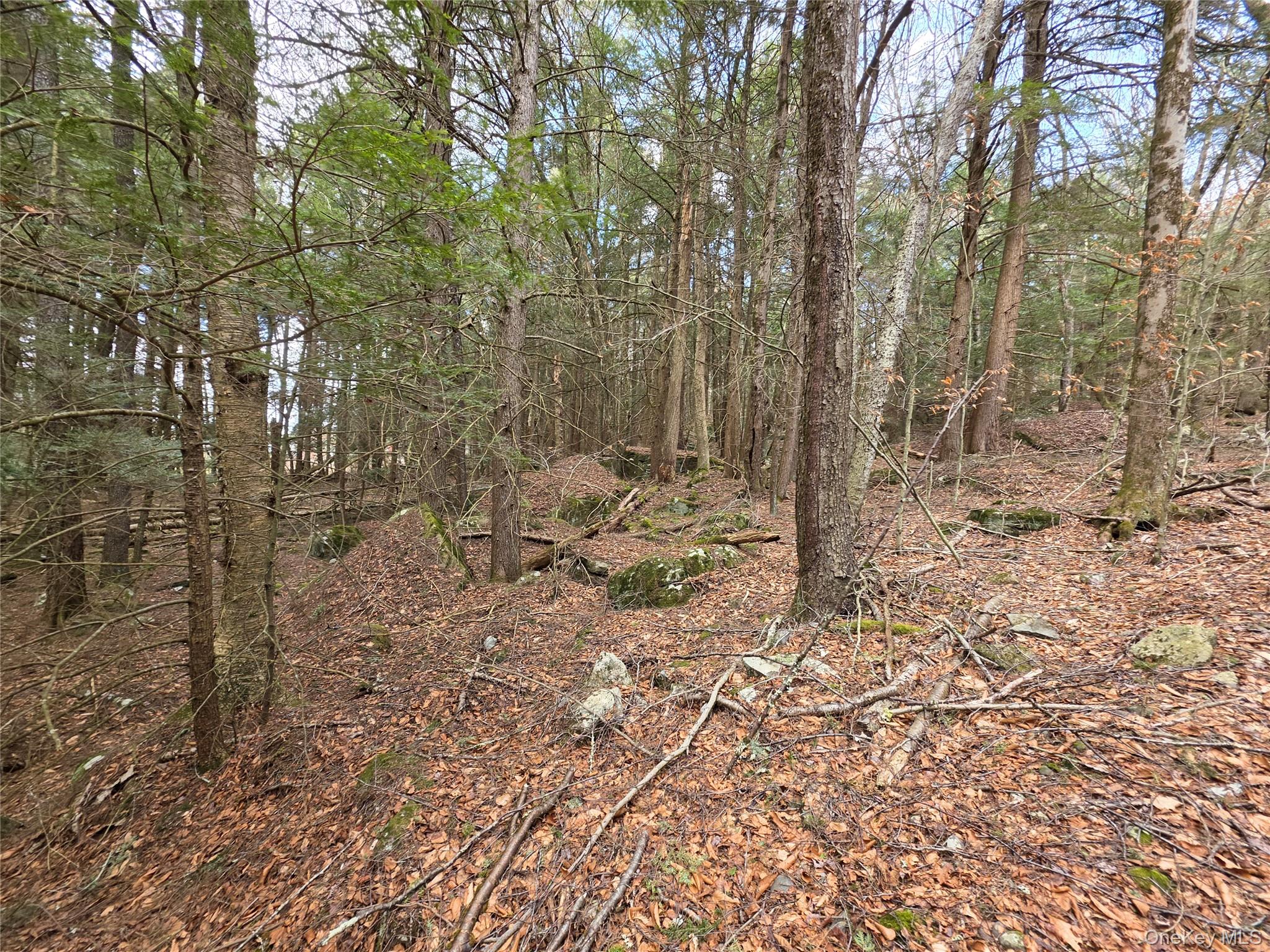 TBD Bobwhite Trail – For Sale photo 20