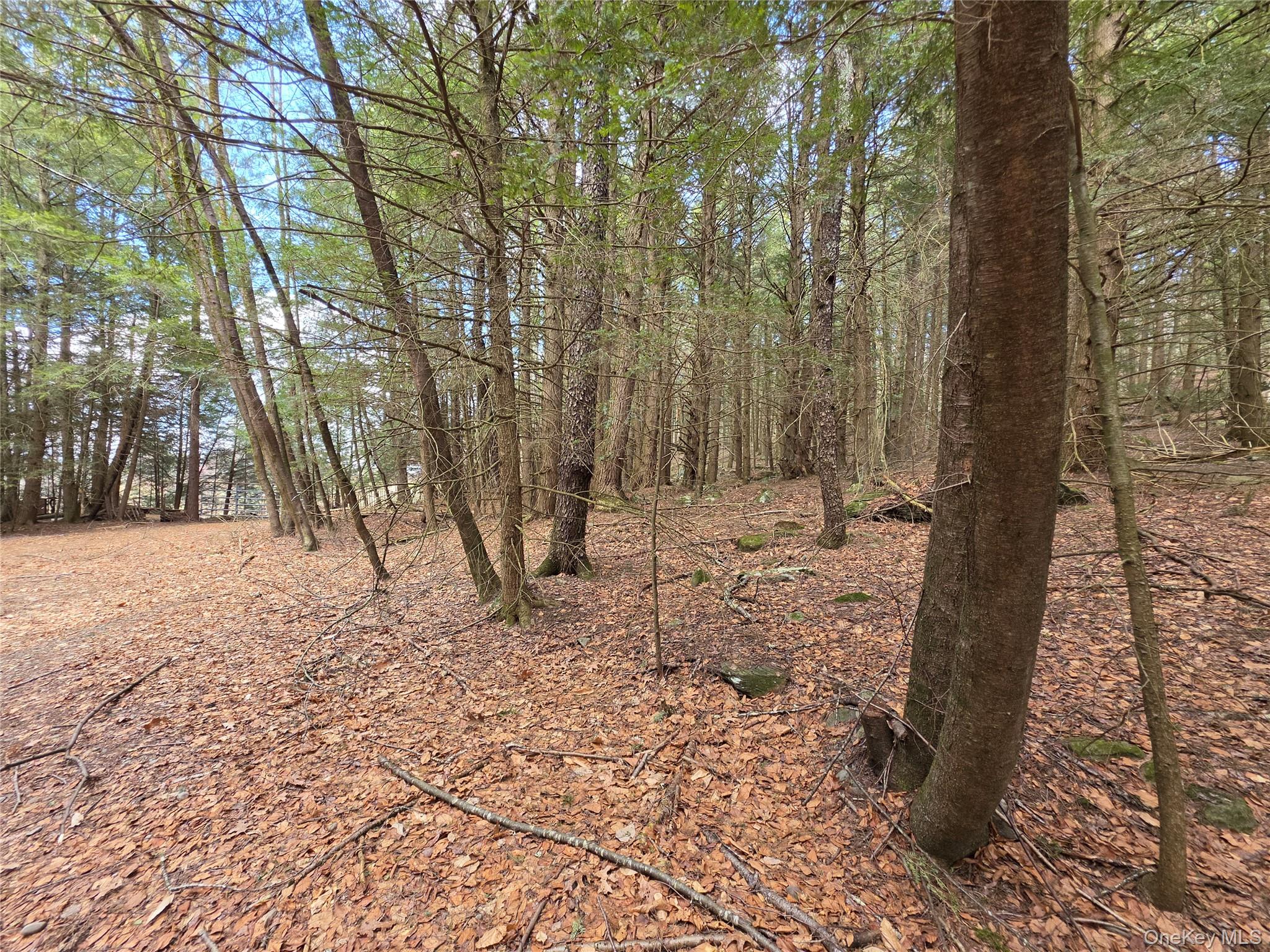 TBD Bobwhite Trail – For Sale photo 9