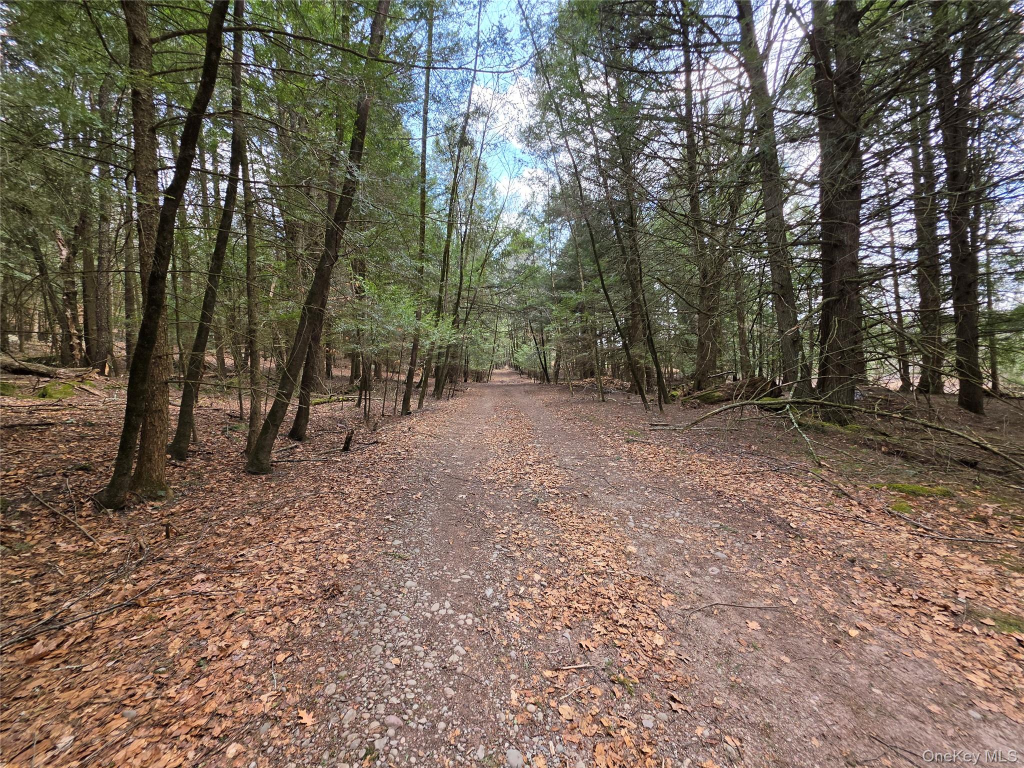 TBD Bobwhite Trail – For Sale photo 5
