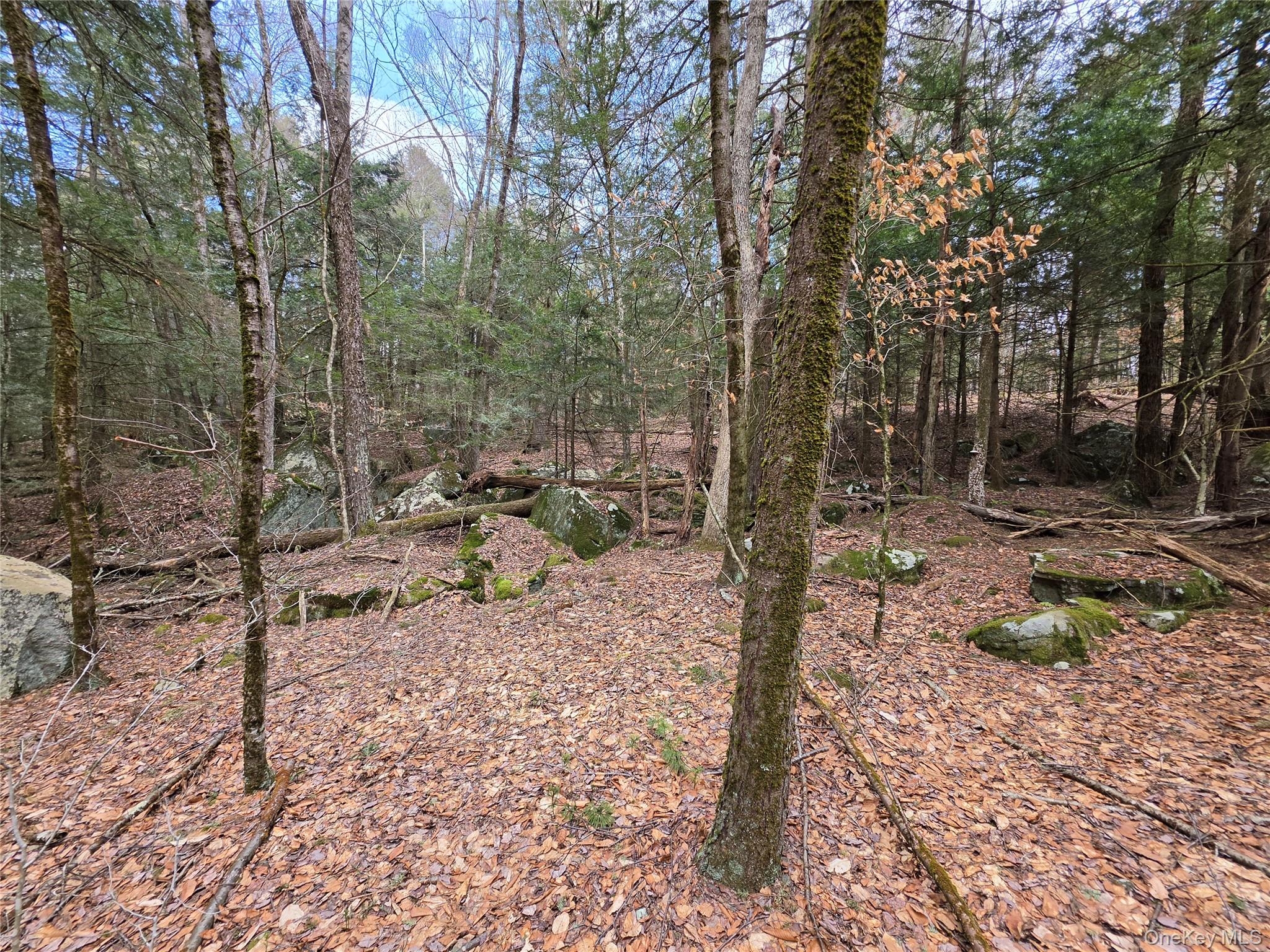 TBD Bobwhite Trail – For Sale photo 26