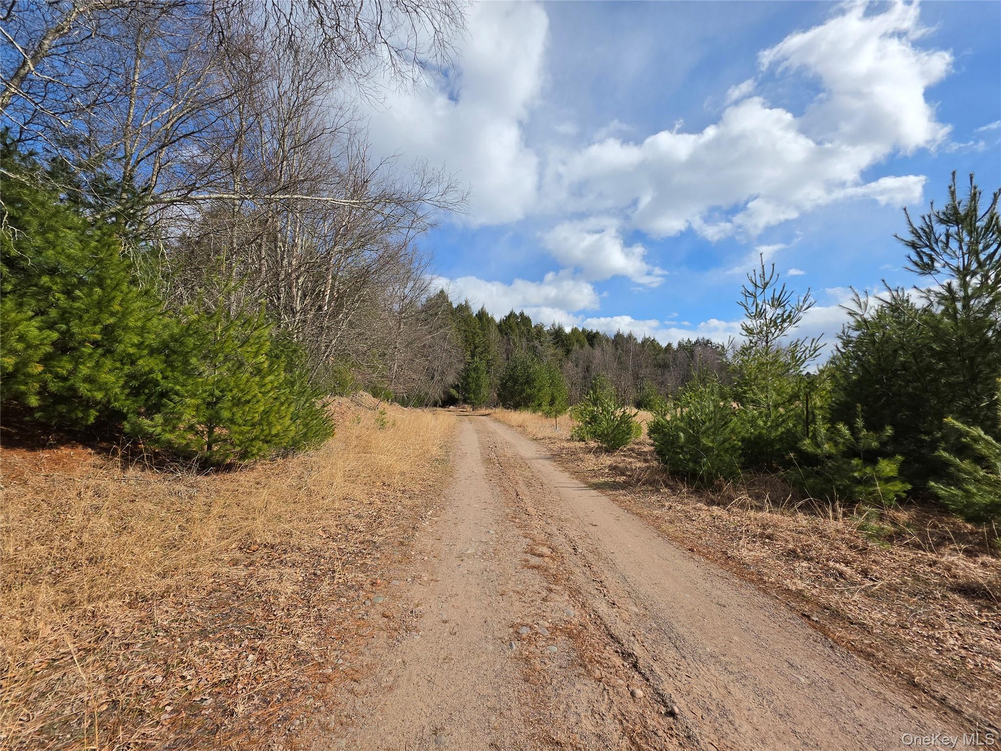 TBD Bobwhite Trail – For Sale