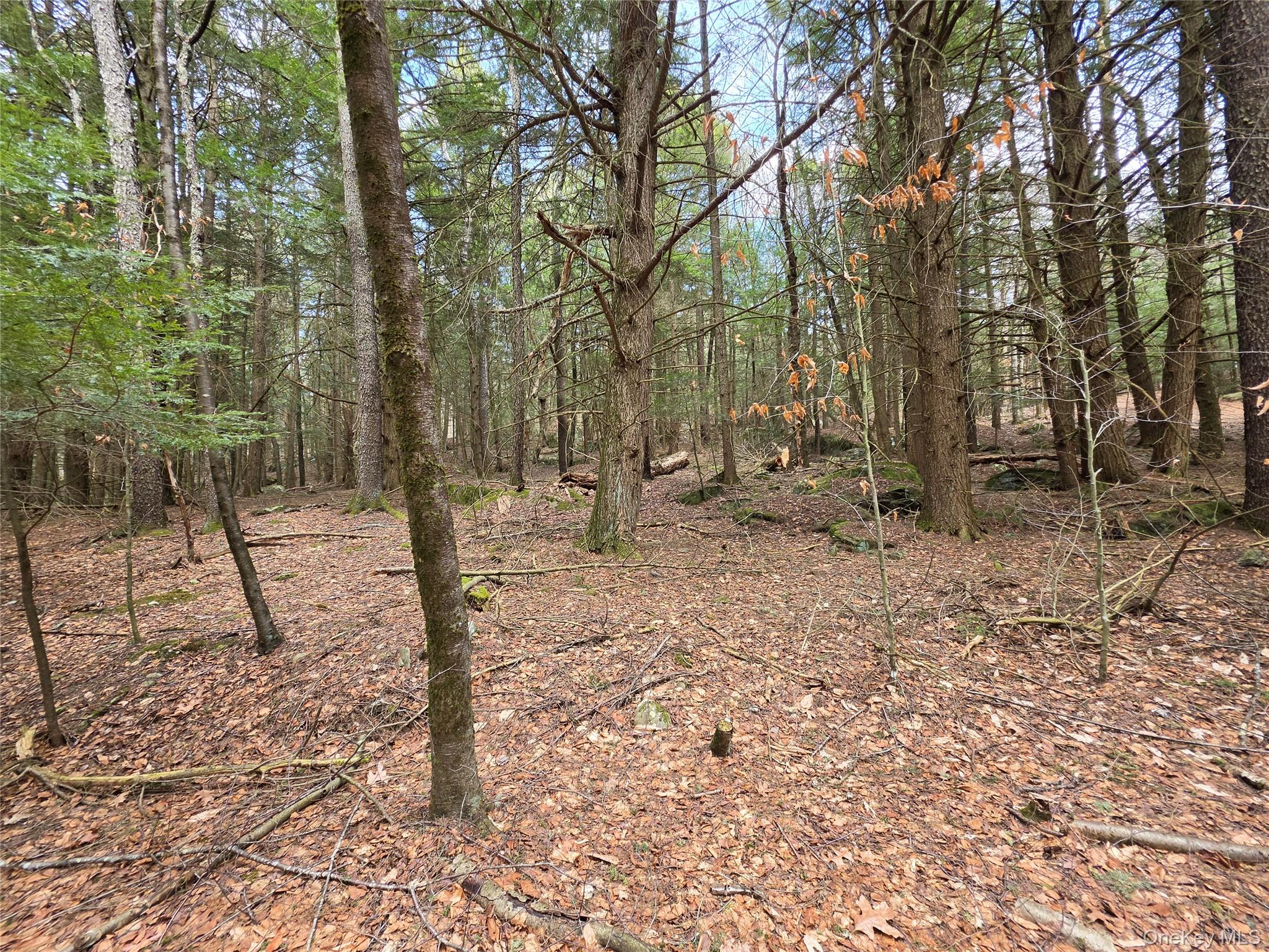 TBD Bobwhite Trail – For Sale photo 11