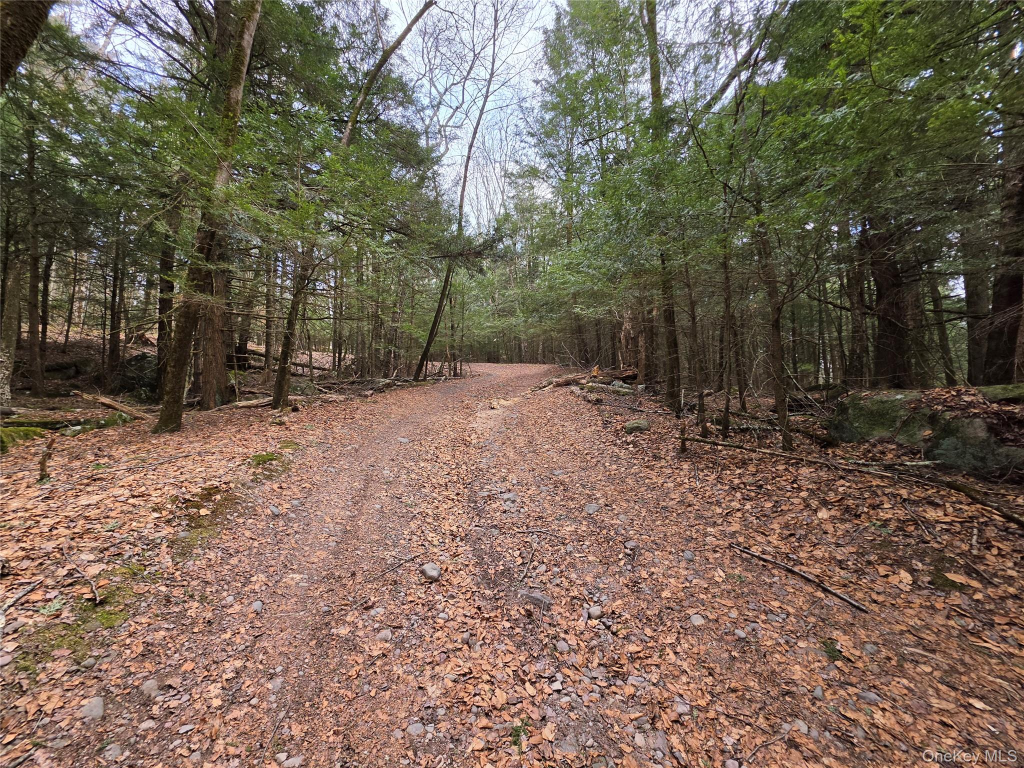 TBD Bobwhite Trail – For Sale photo 28