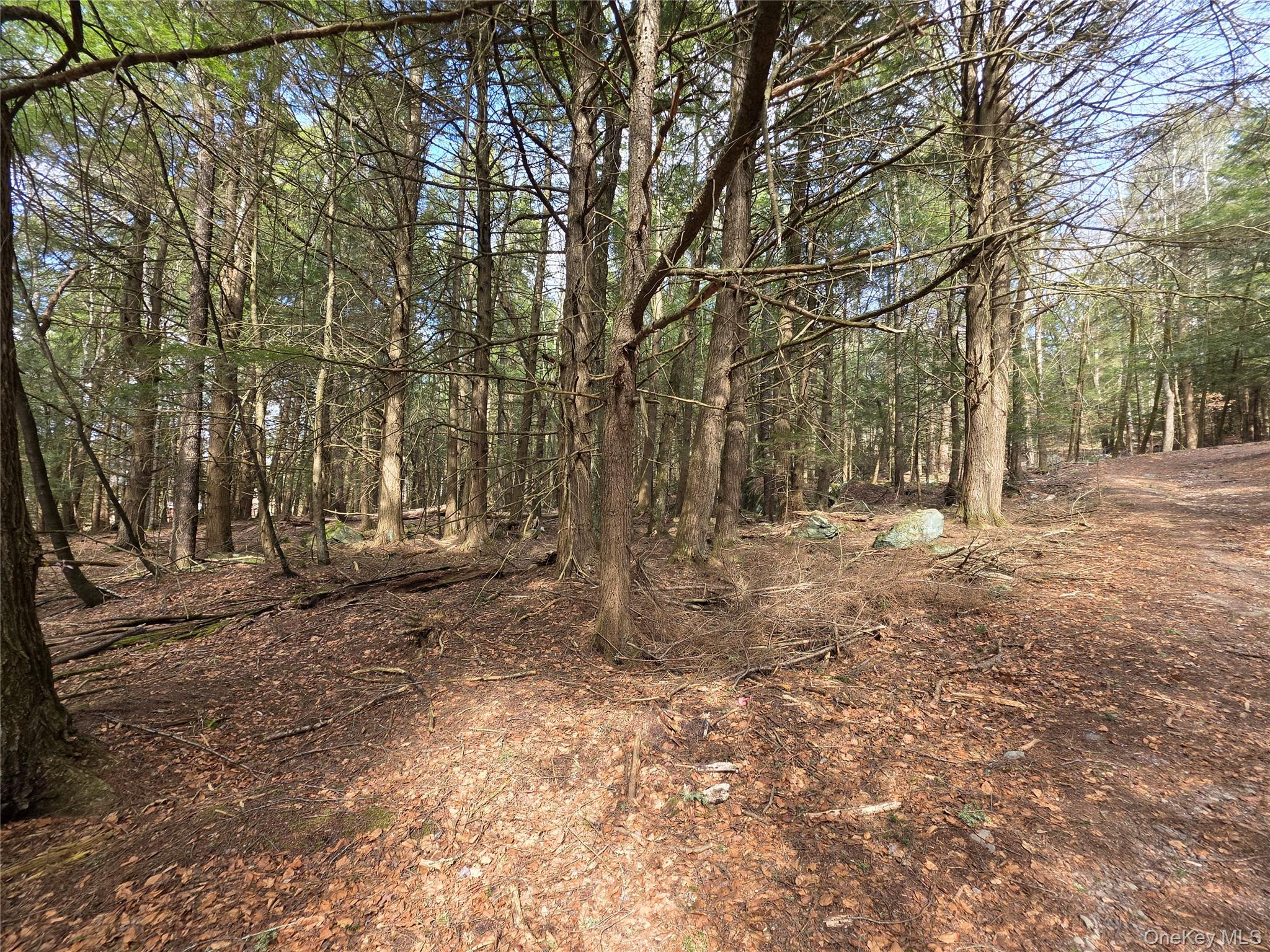 TBD Bobwhite Trail – For Sale photo 15