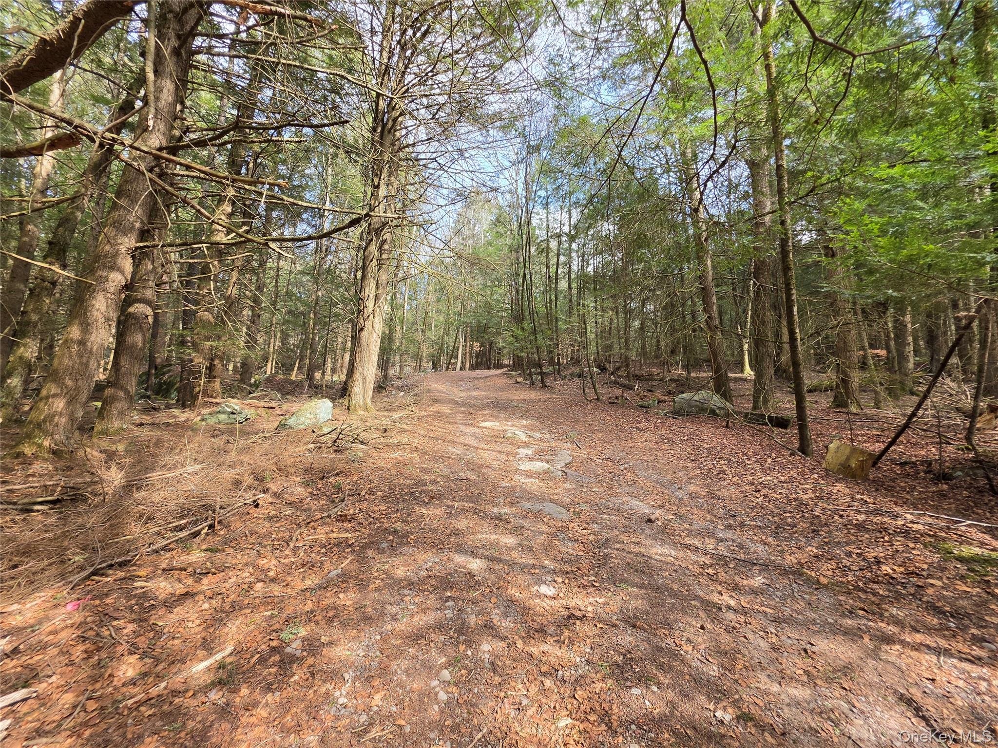 TBD Bobwhite Trail – For Sale photo 14