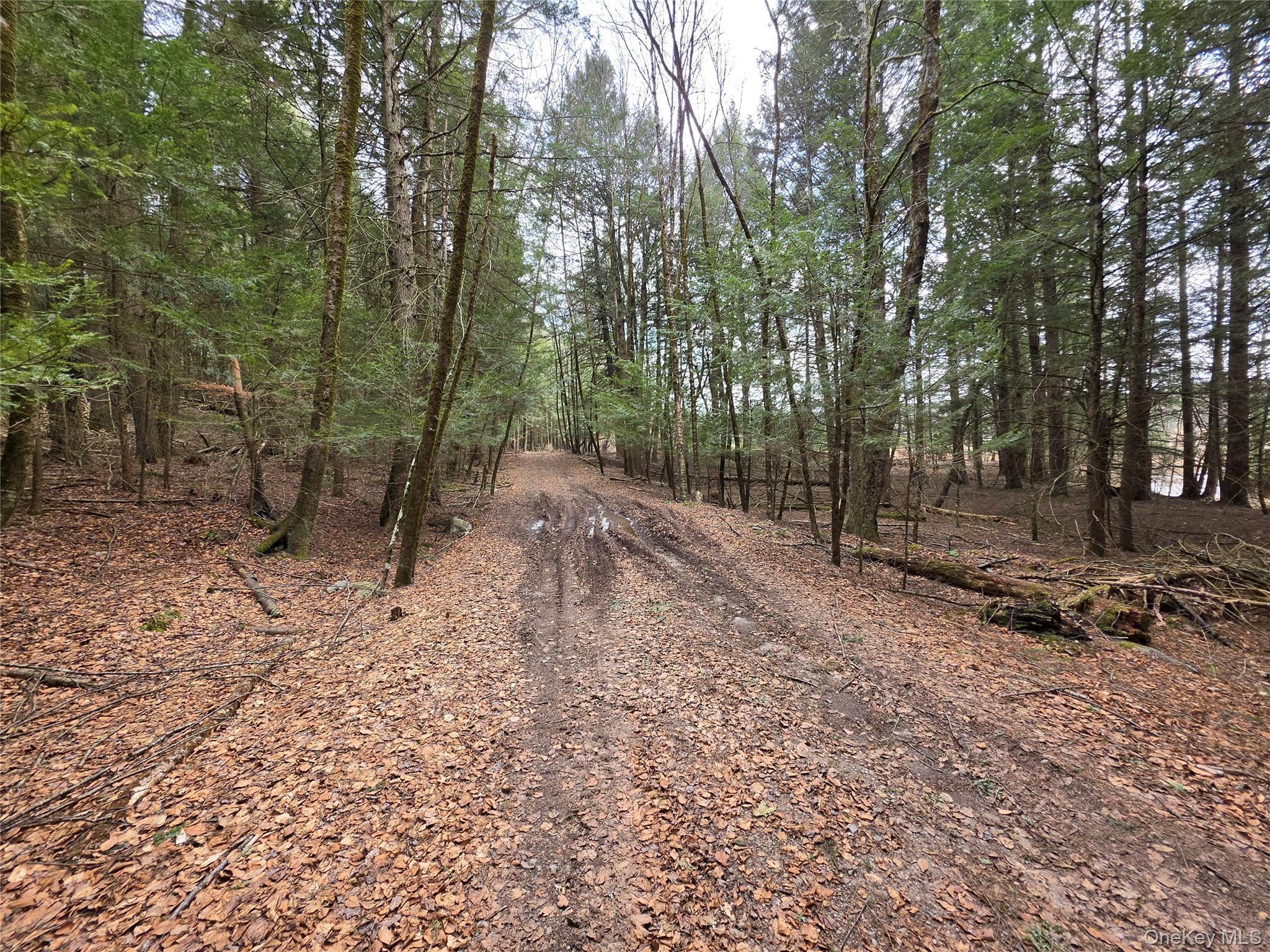 TBD Bobwhite Trail – For Sale photo 19