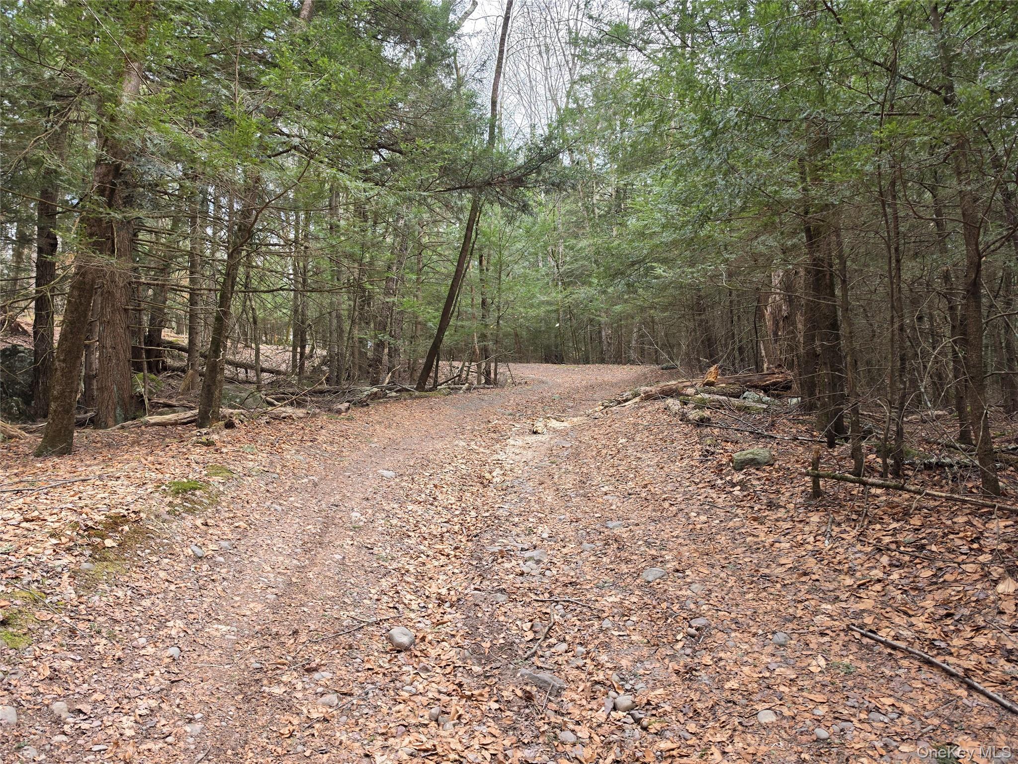 TBD Bobwhite Trail – For Sale photo 30