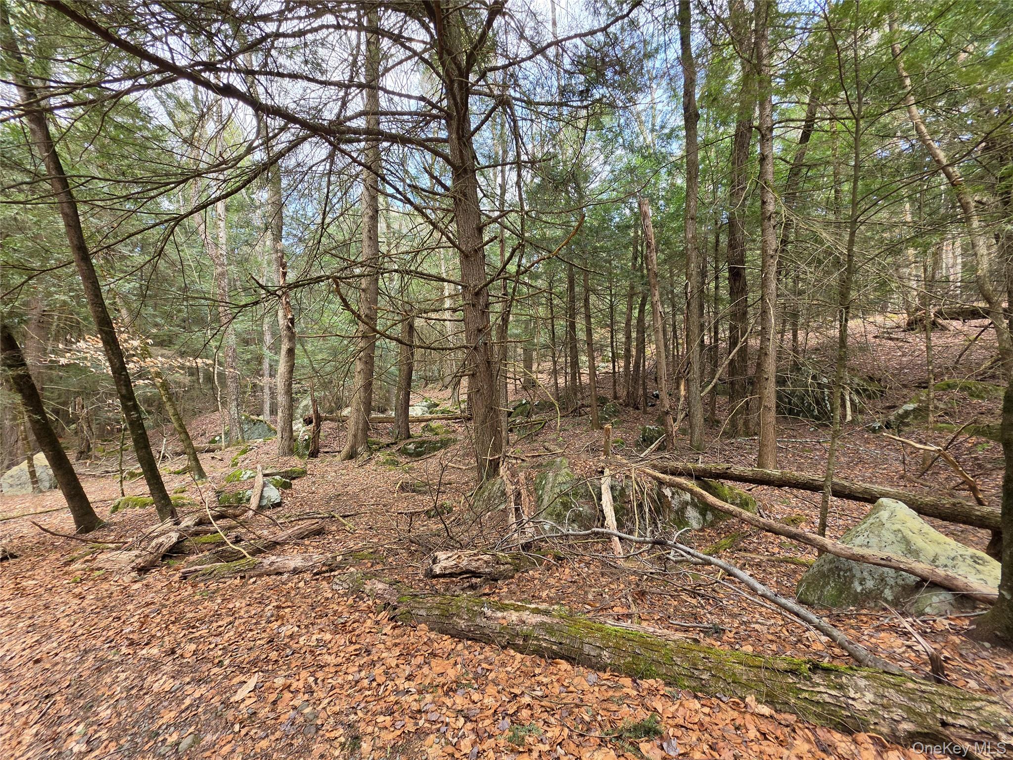 TBD Bobwhite Trail – For Sale photo 27
