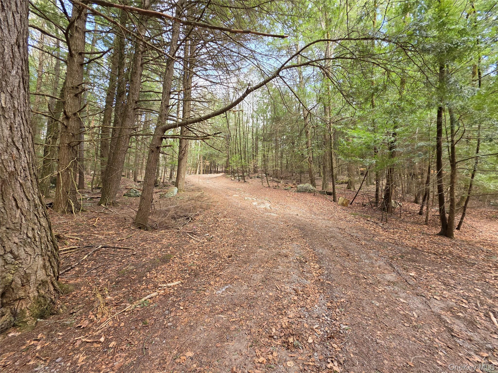TBD Bobwhite Trail – For Sale photo 12
