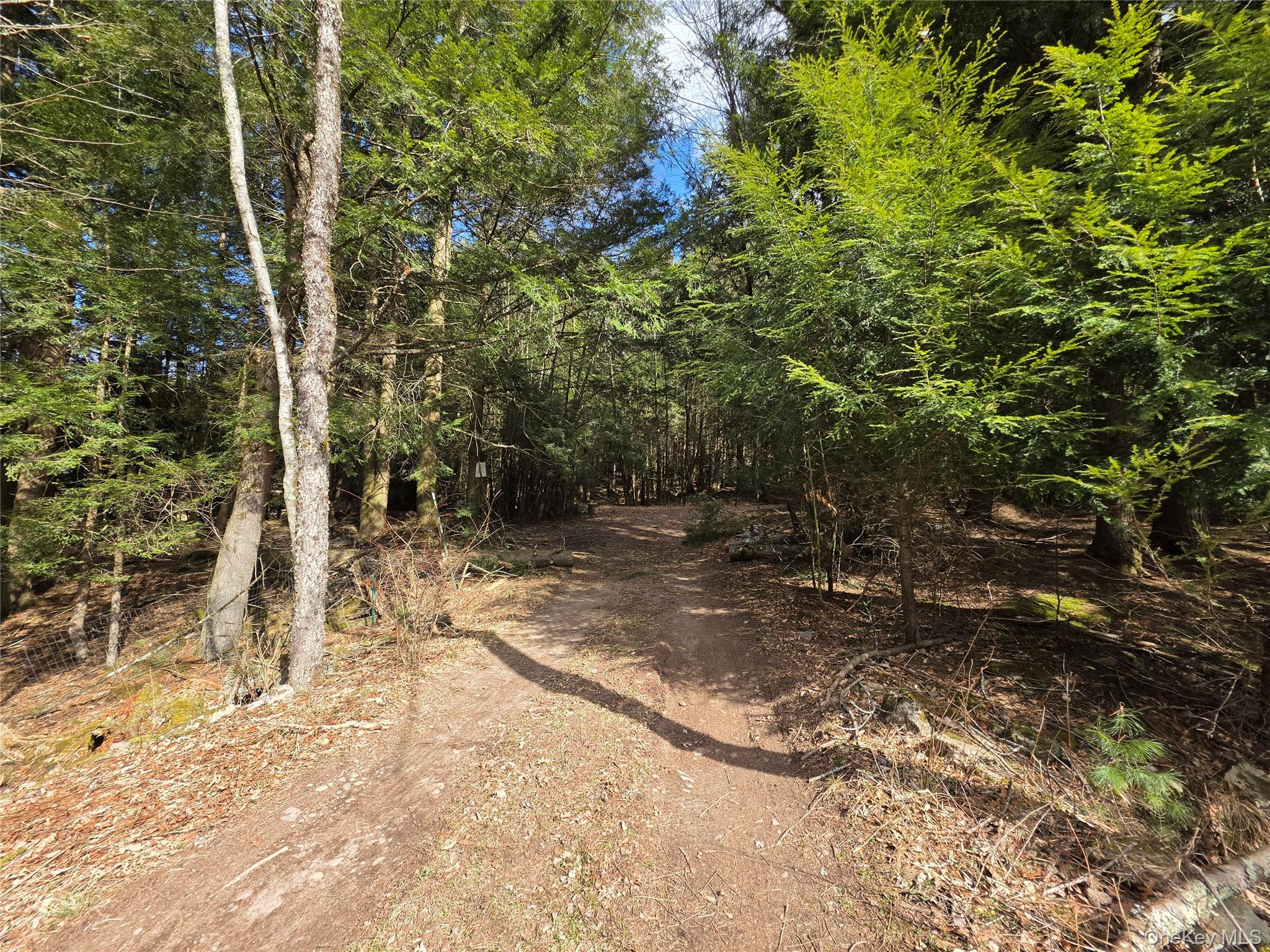 TBD Bobwhite Trail – For Sale photo 2