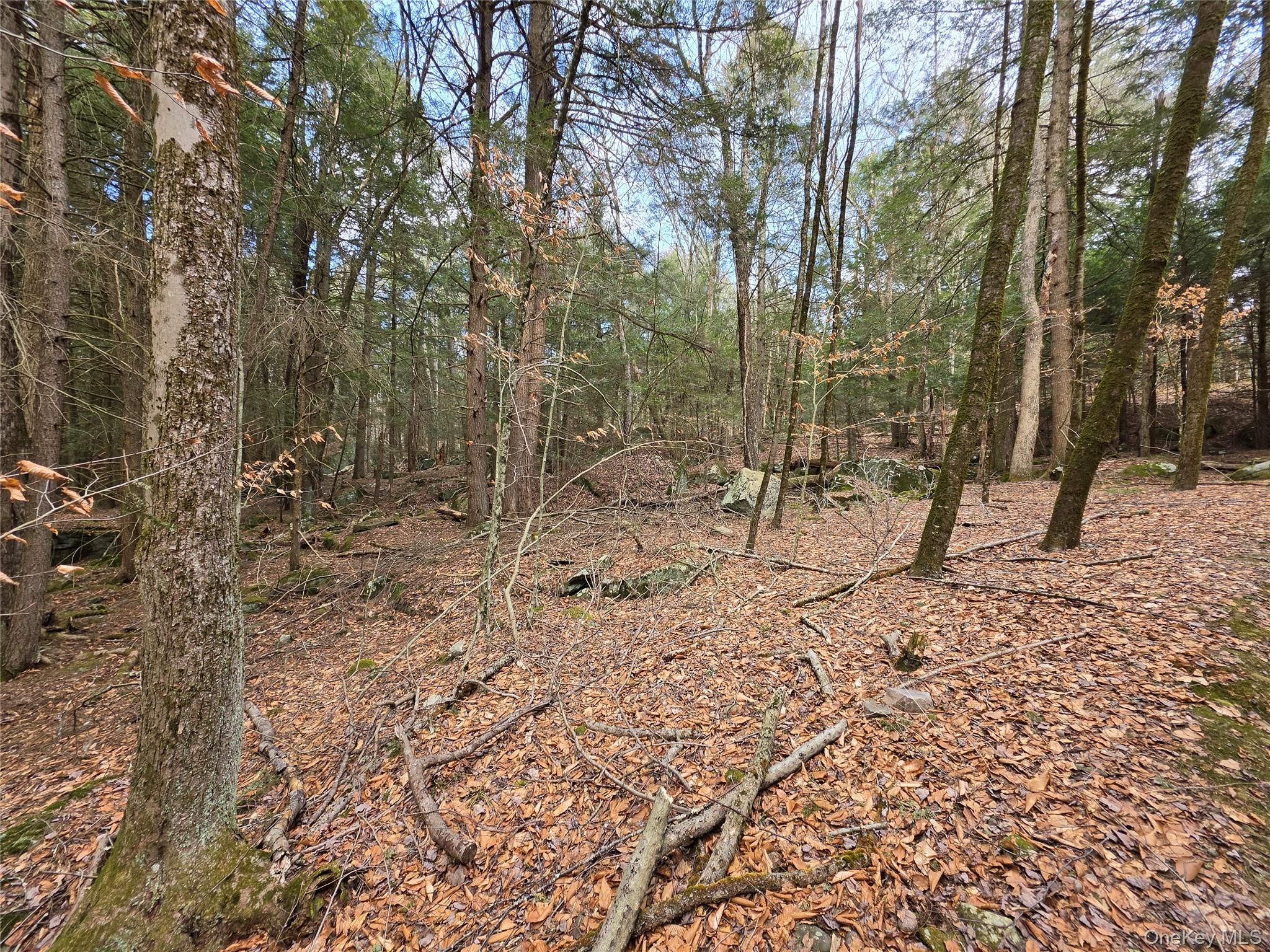 TBD Bobwhite Trail – For Sale photo 22