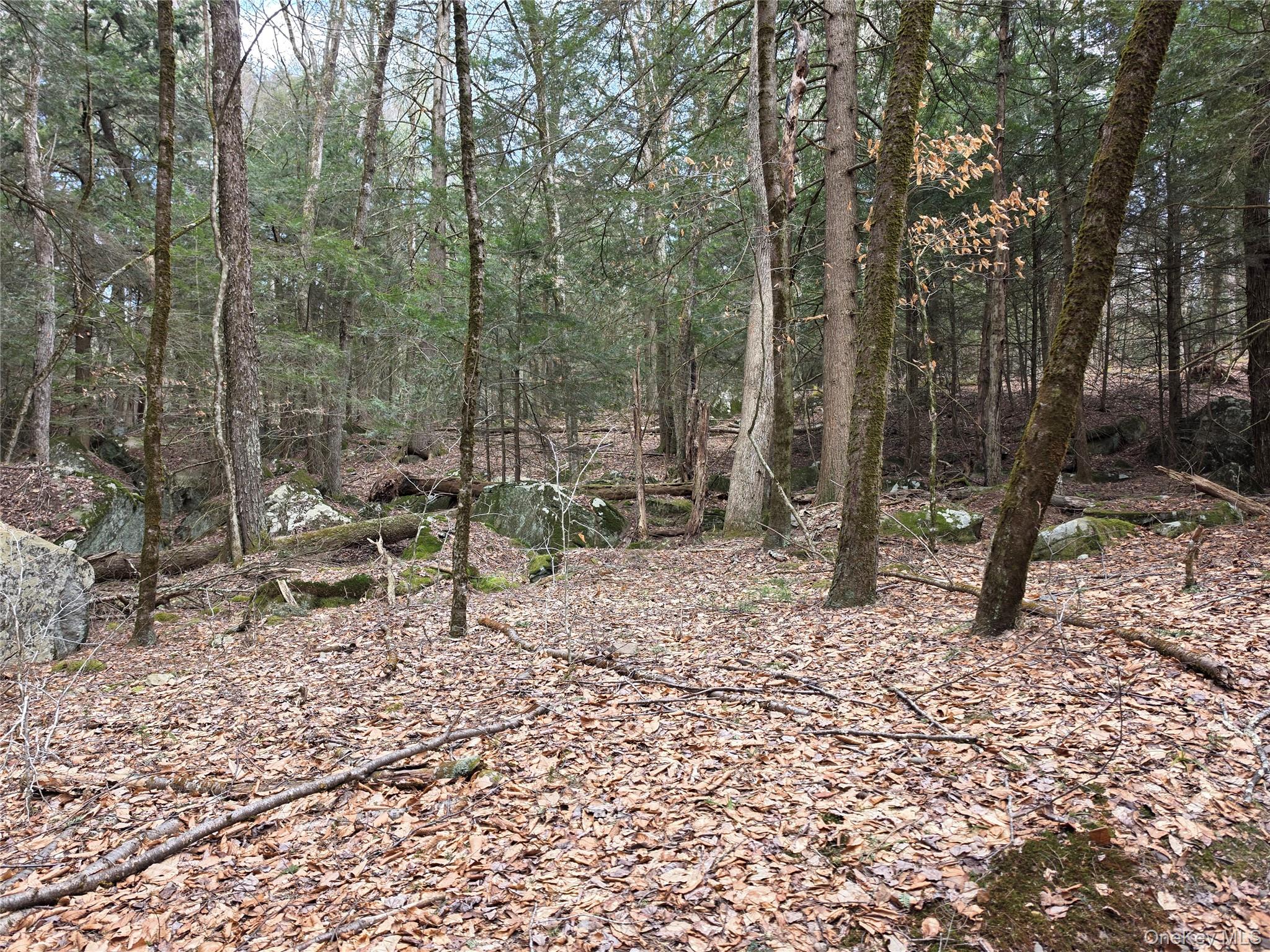 TBD Bobwhite Trail – For Sale photo 24