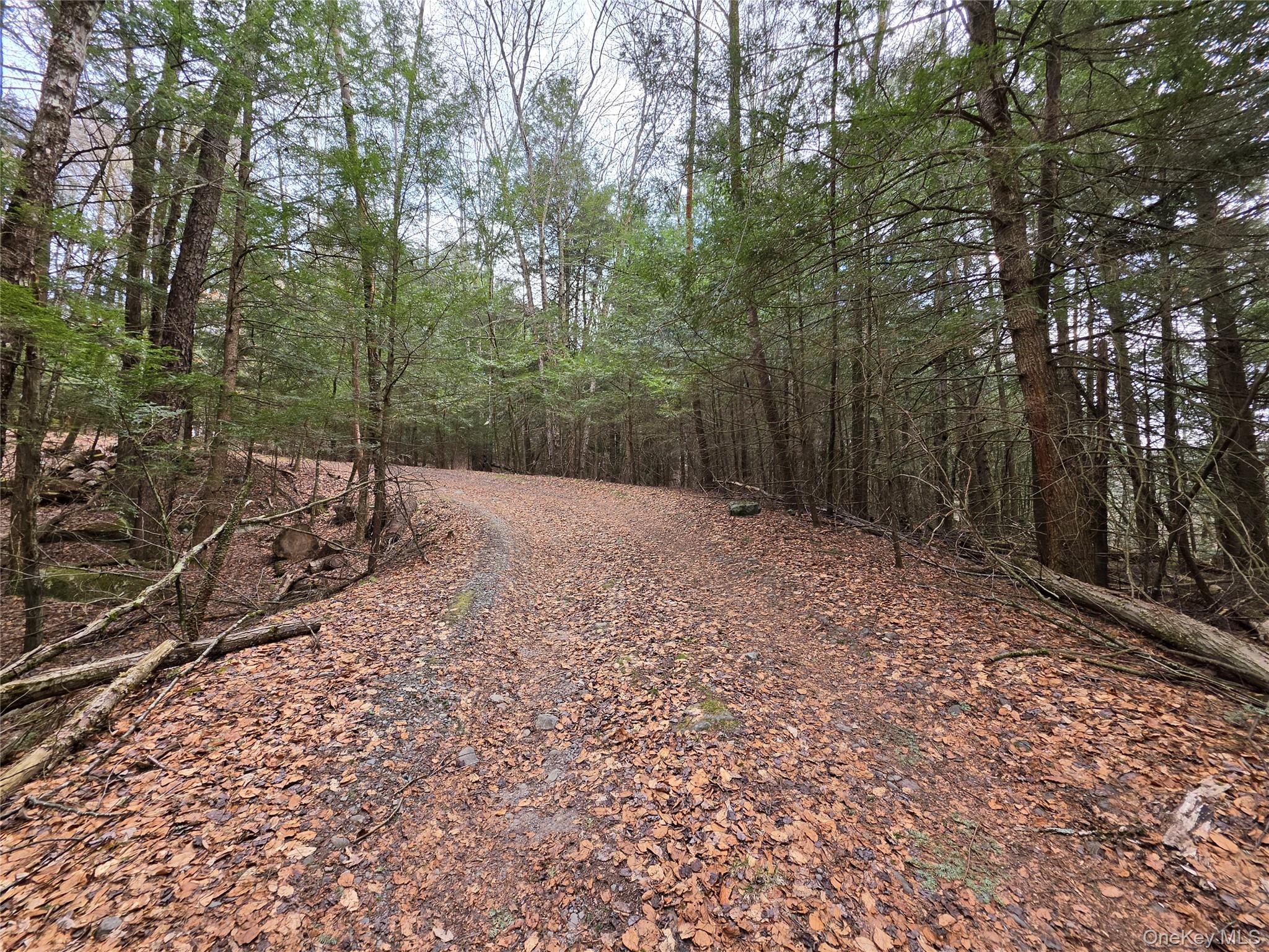 TBD Bobwhite Trail – For Sale photo 31