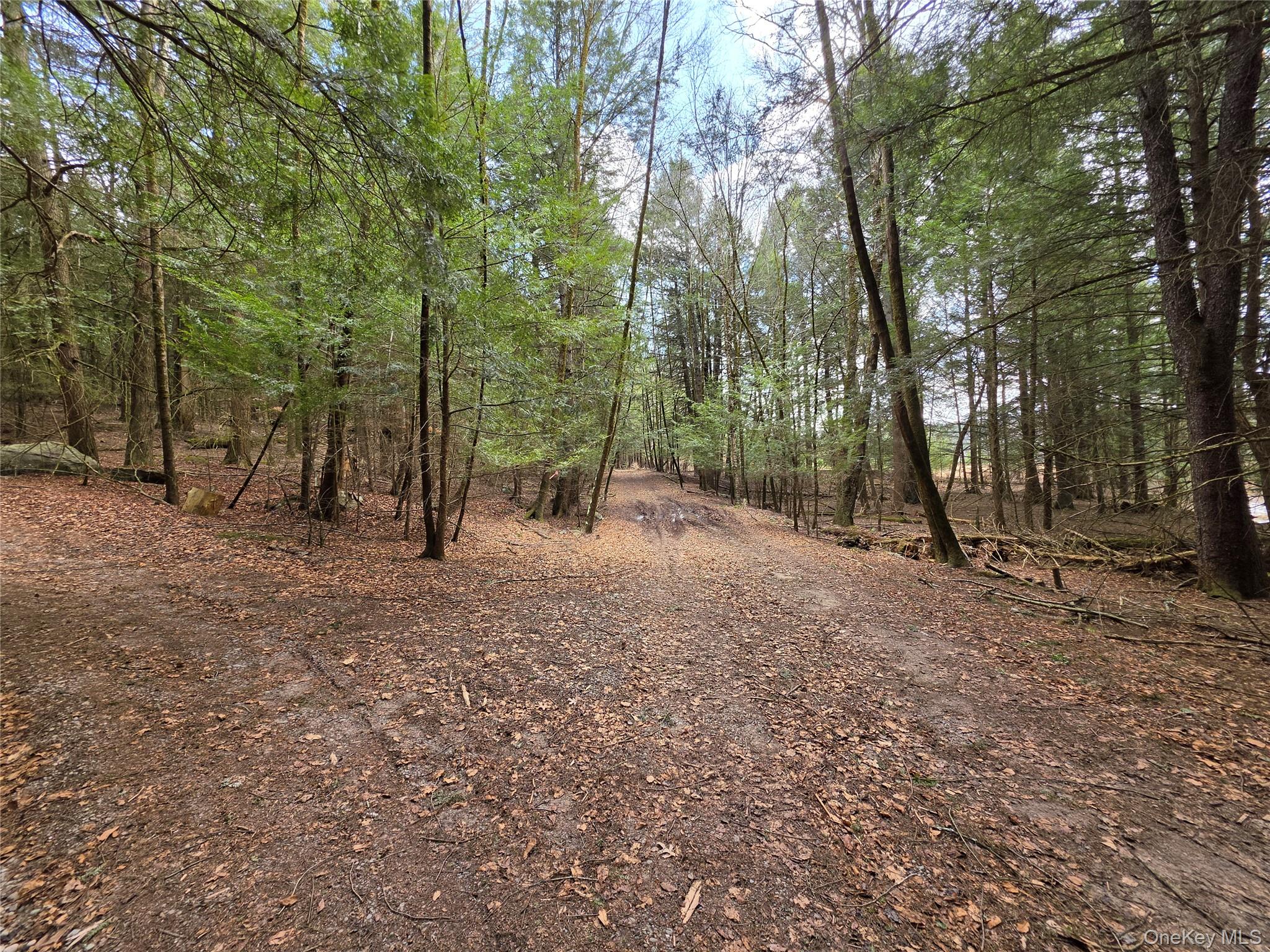 TBD Bobwhite Trail – For Sale photo 13