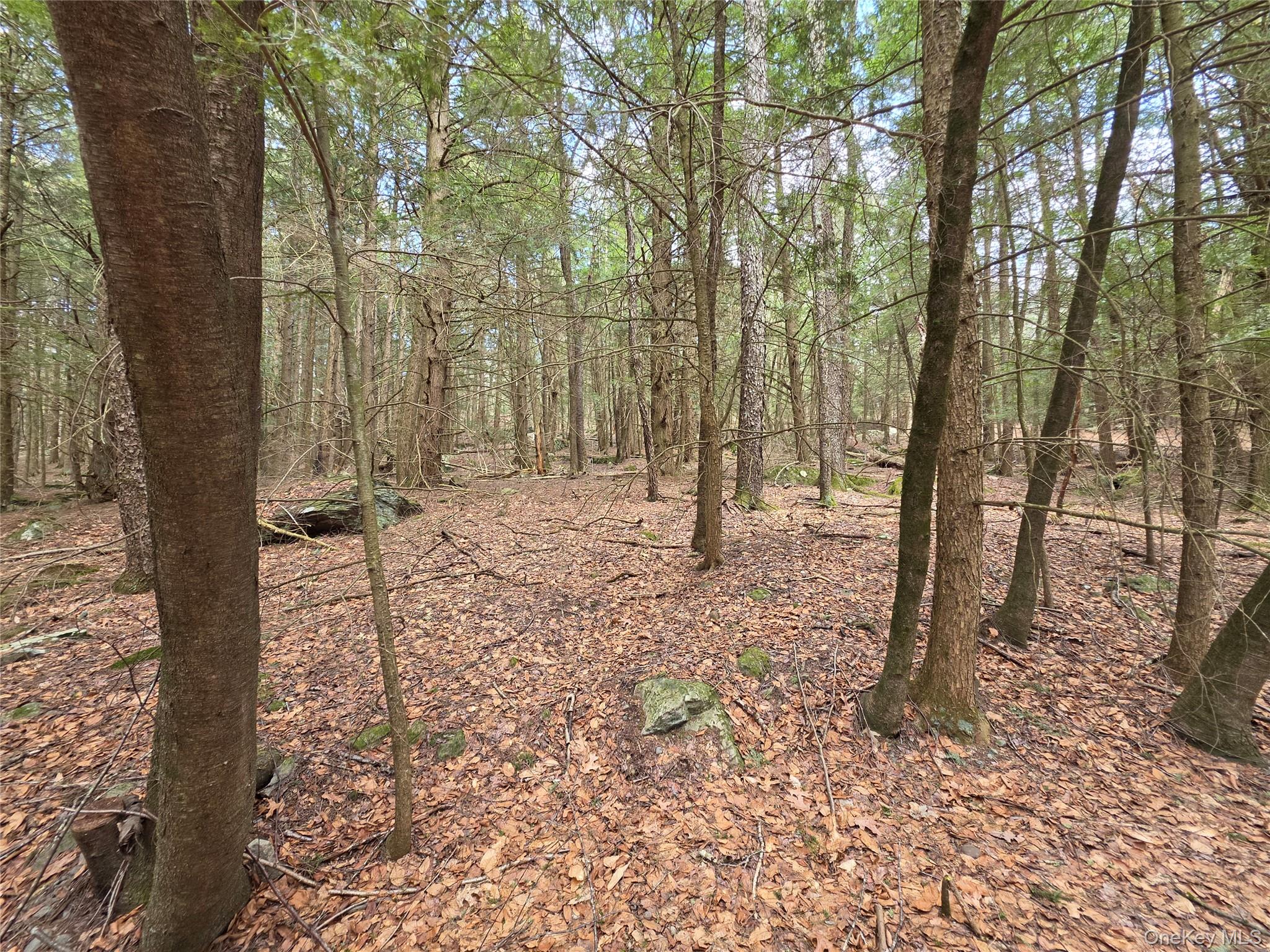 TBD Bobwhite Trail – For Sale photo 8