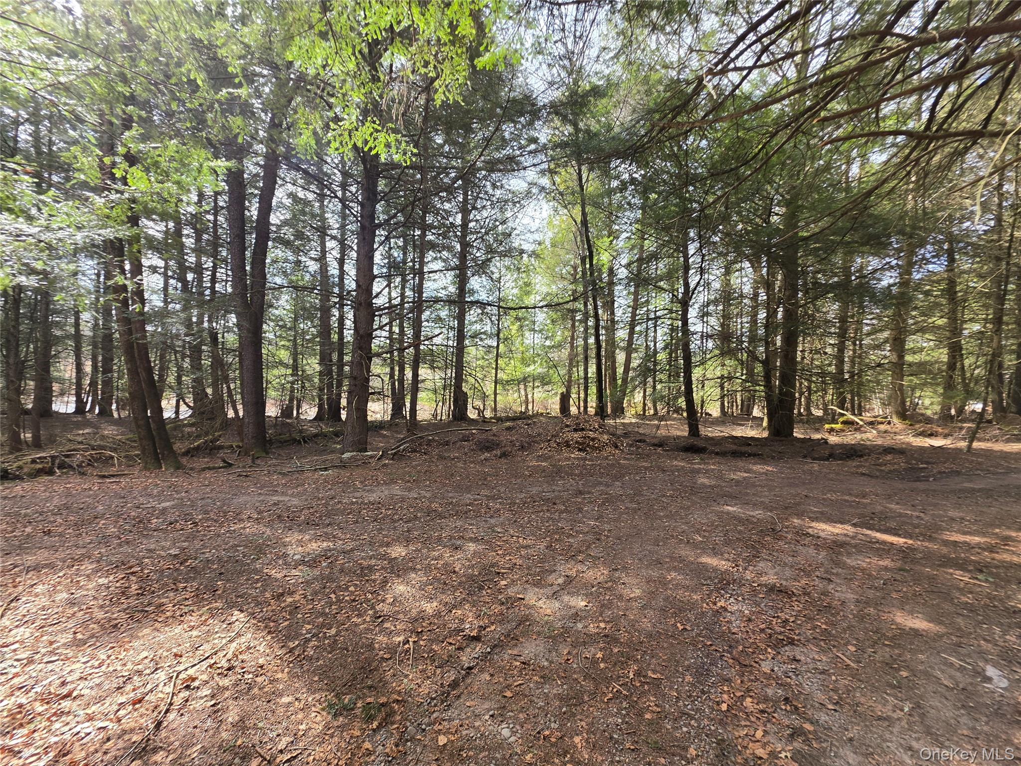 TBD Bobwhite Trail – For Sale photo 16