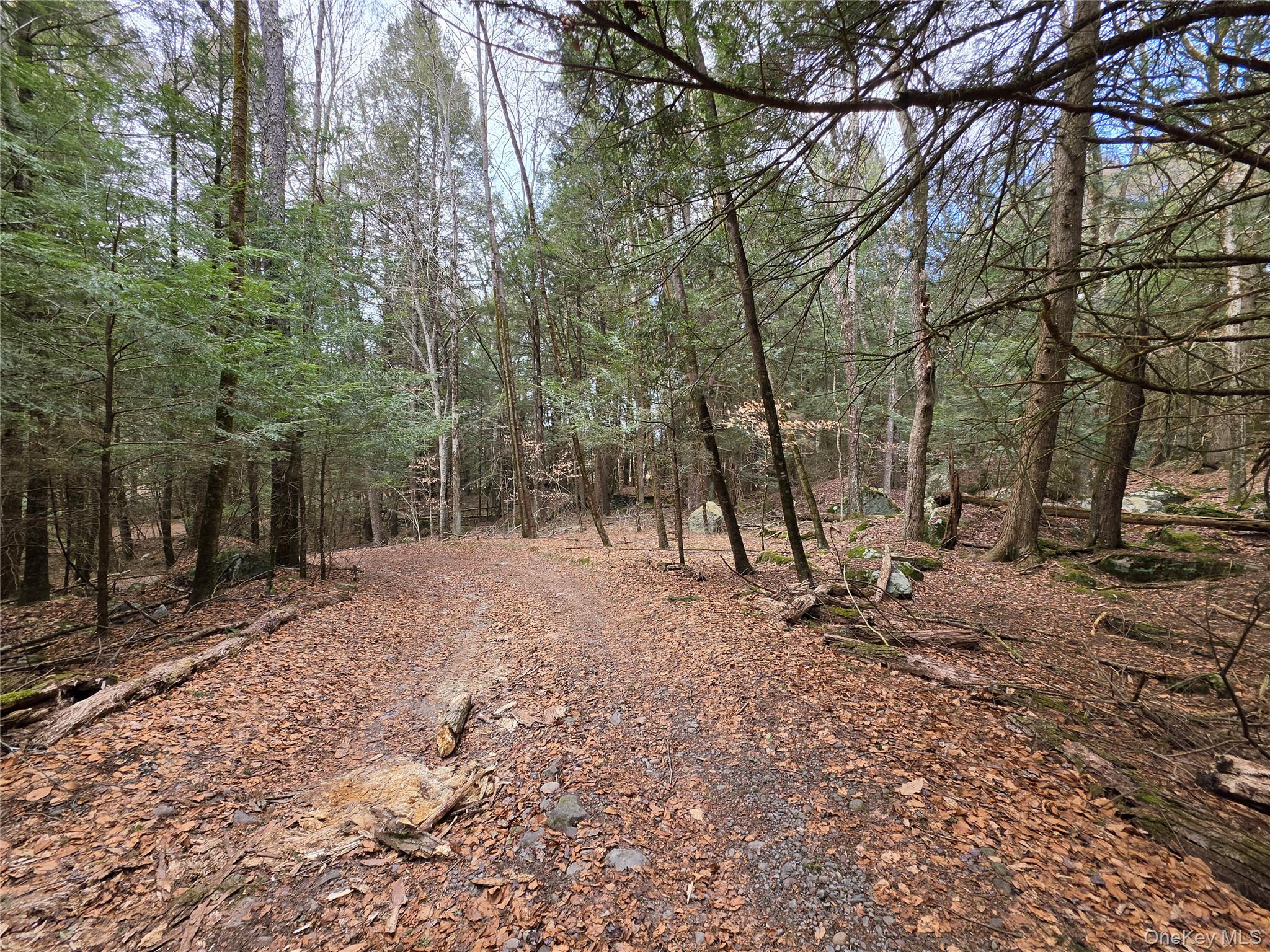 TBD Bobwhite Trail – For Sale photo 32