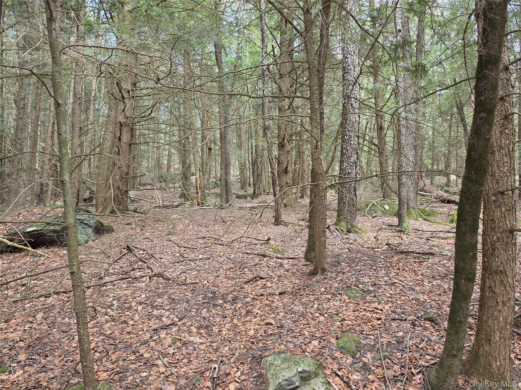 TBD Bobwhite Trail – For Sale photo 7